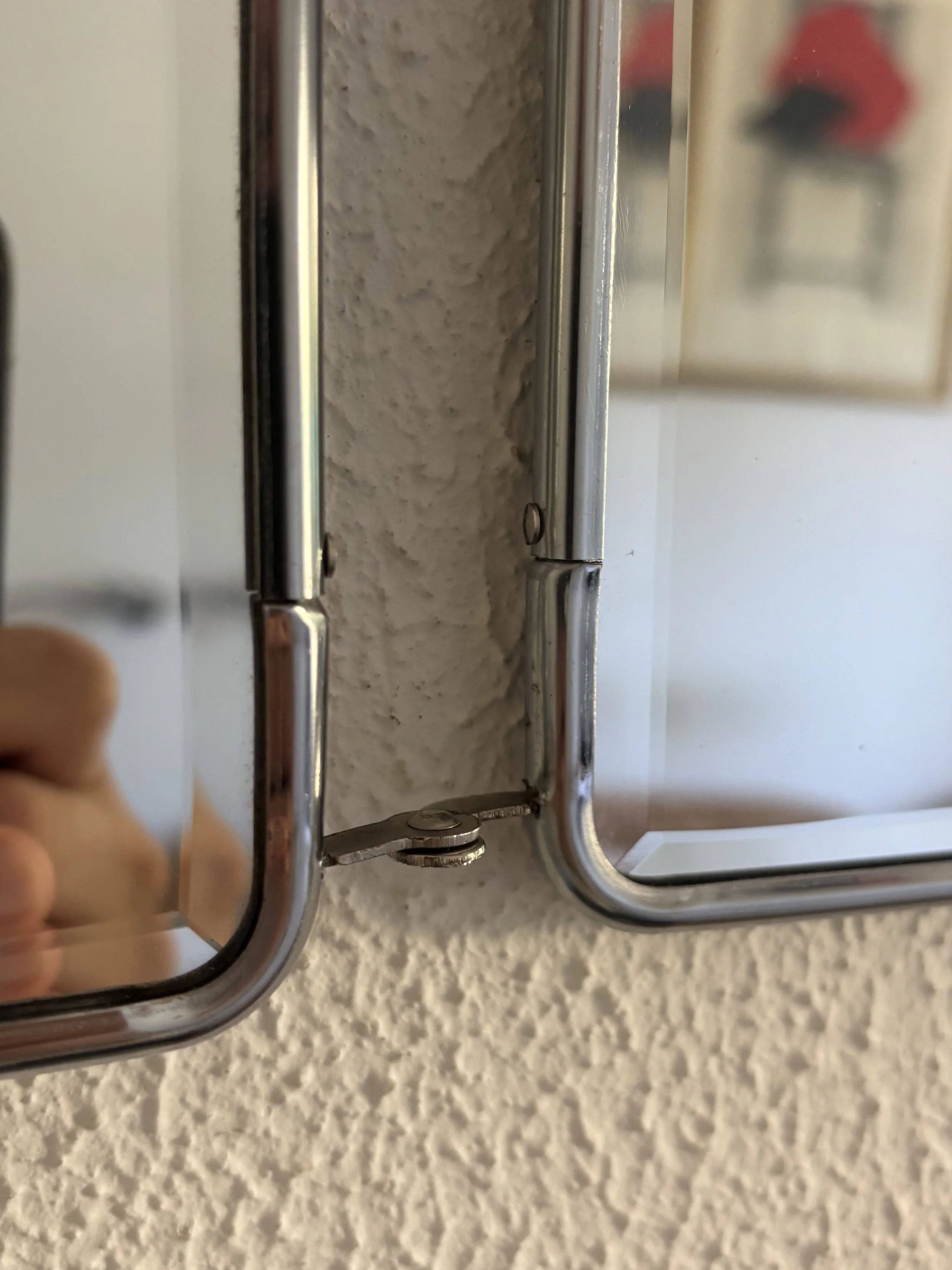 IMG_6681.jpeg