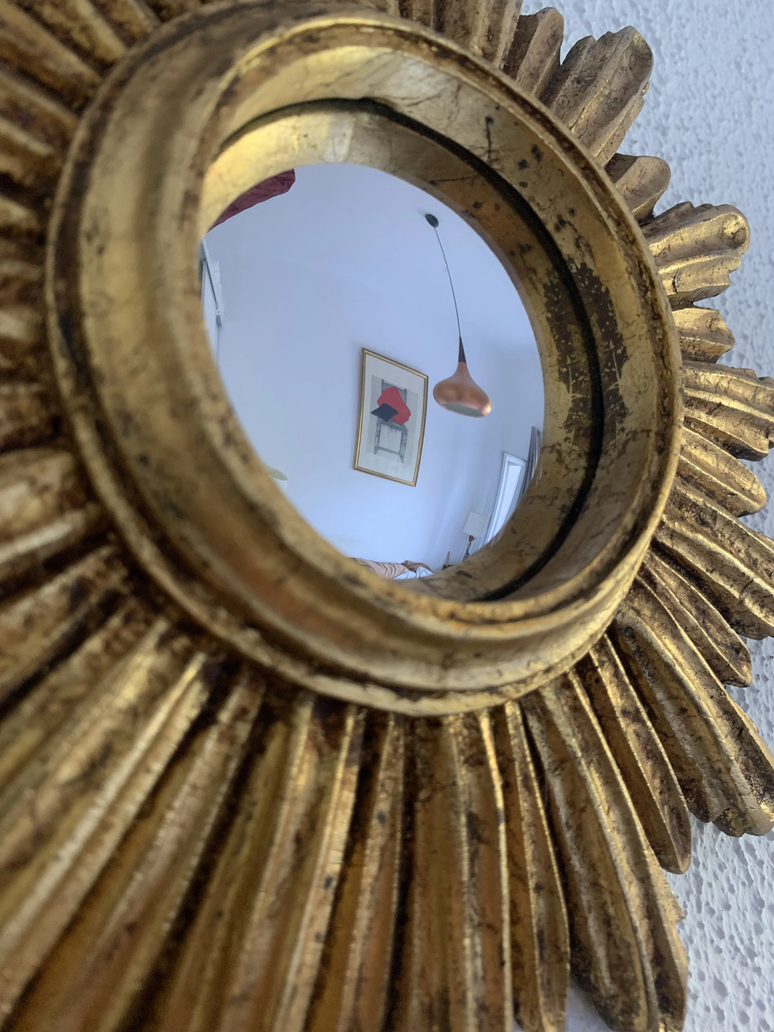 IMG_1377.jpeg