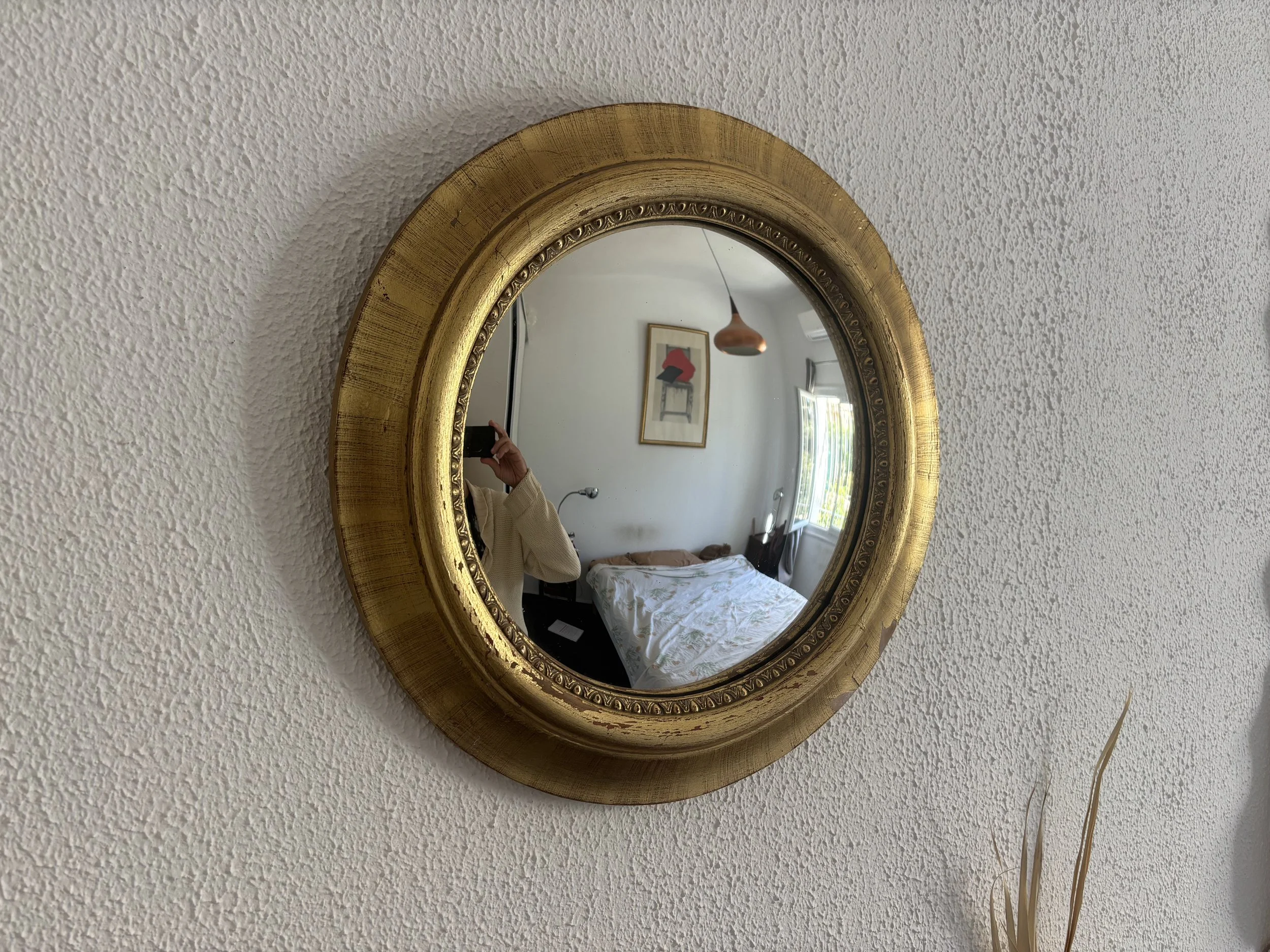 IMG_6398.jpeg