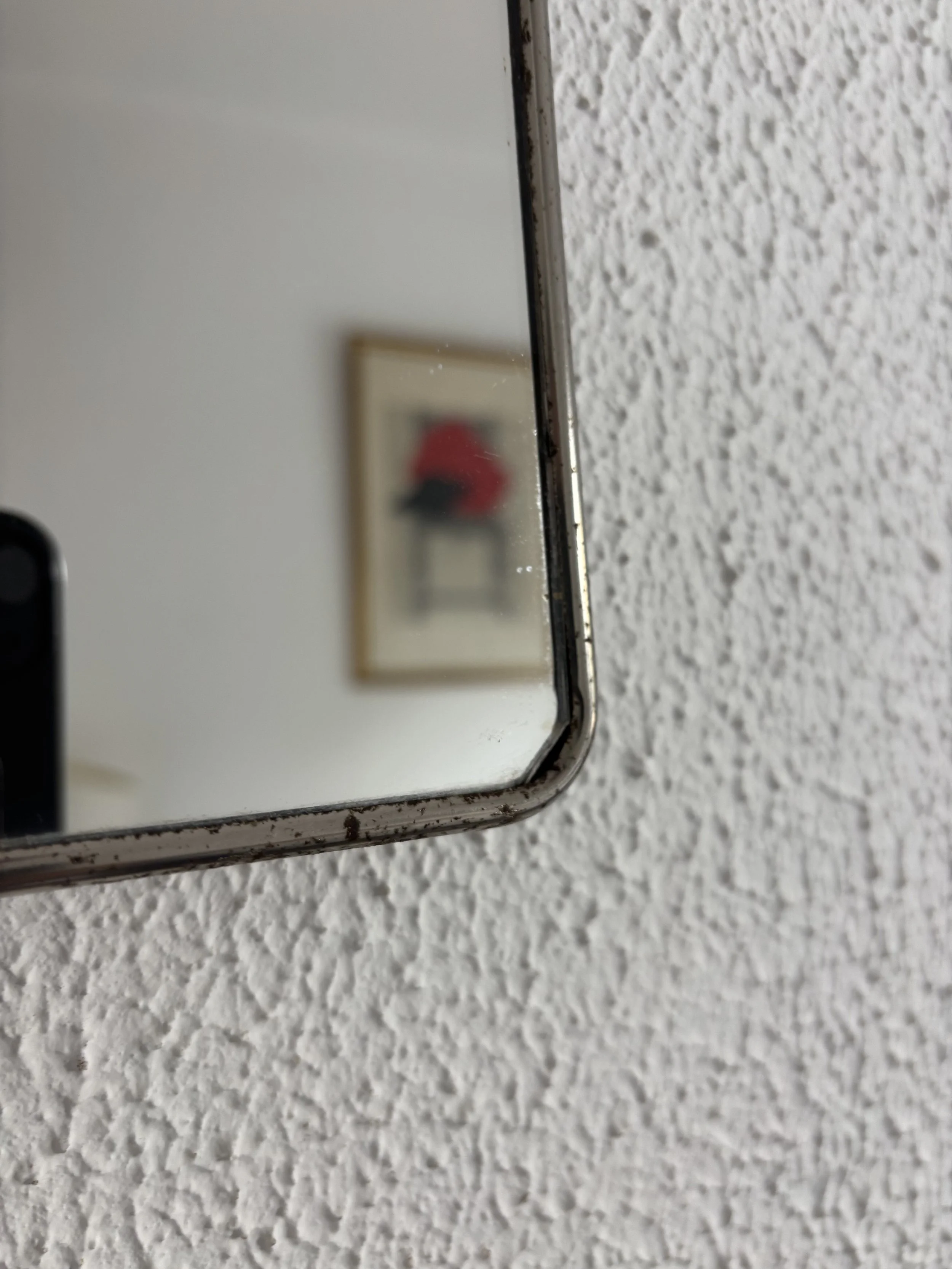 IMG_1801.jpeg