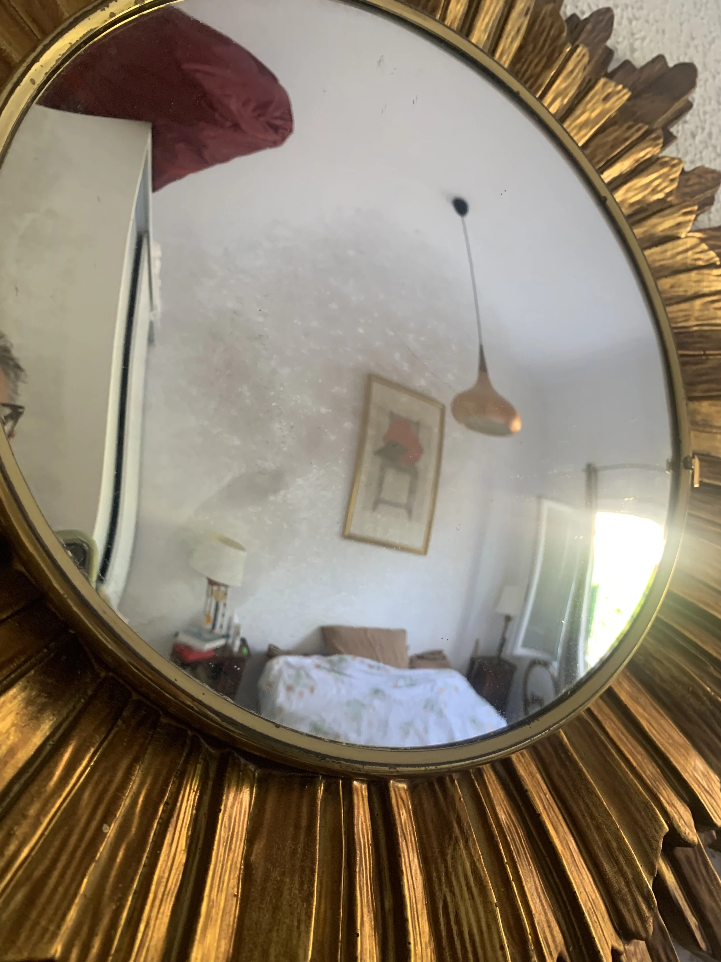 IMG_1317.jpeg