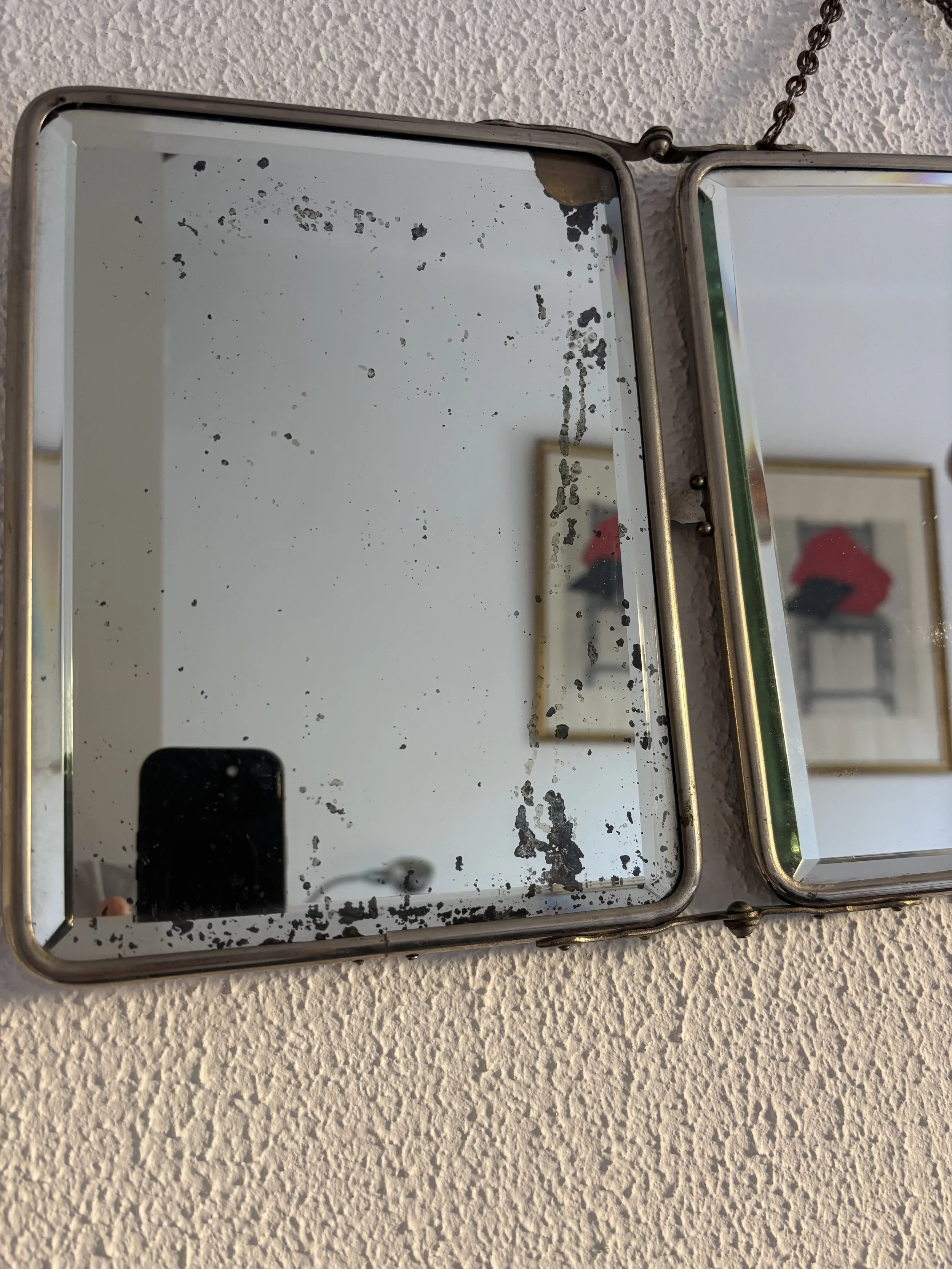 IMG_6238.jpeg