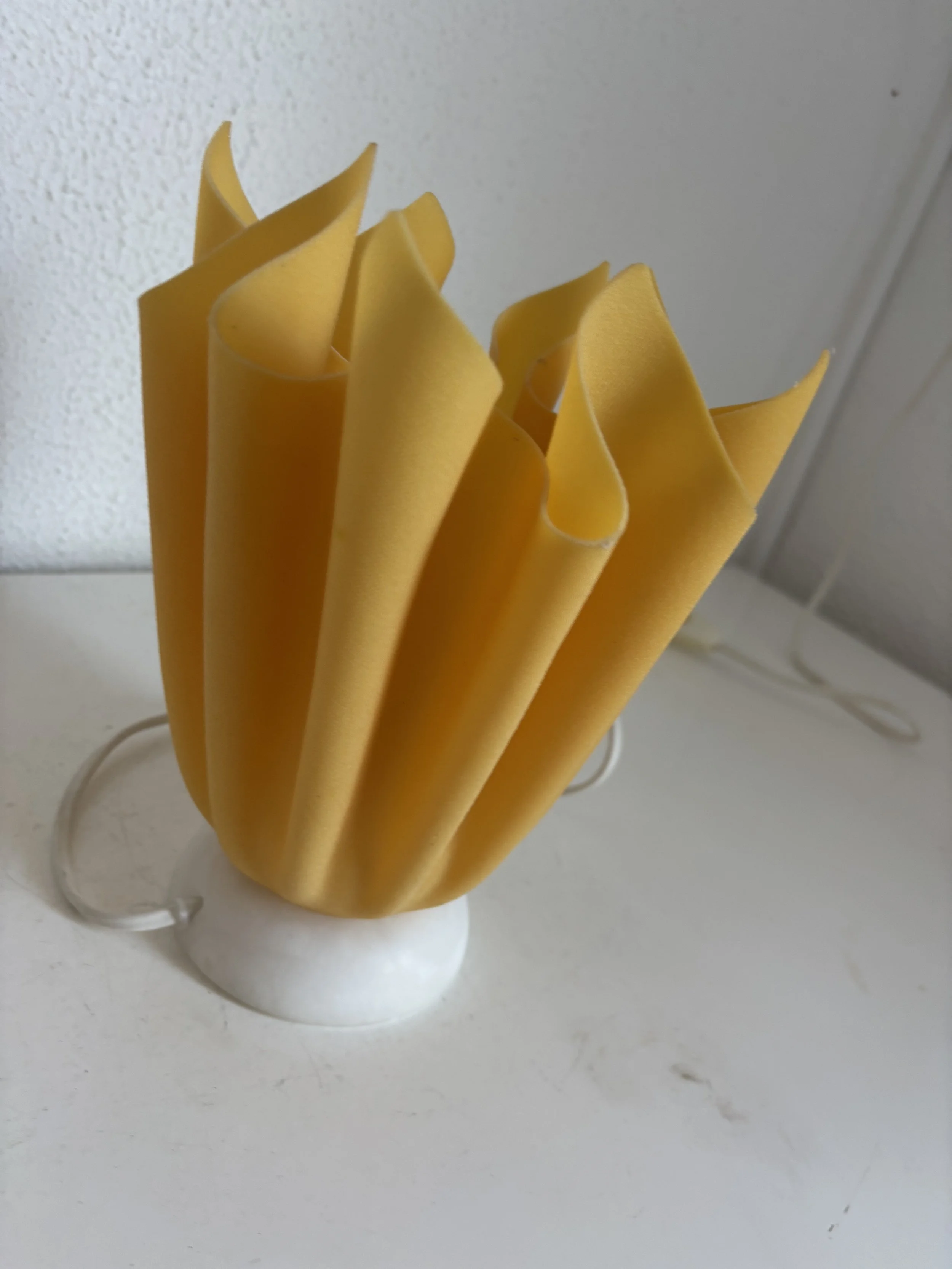 IMG_1733.jpeg