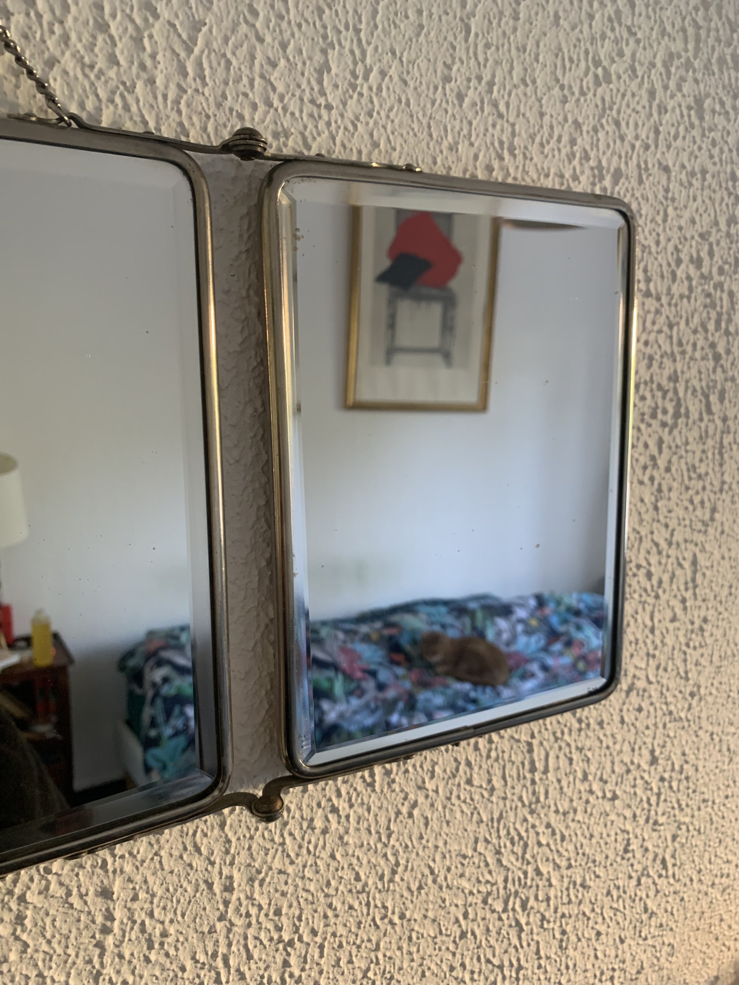 IMG_8432.jpeg