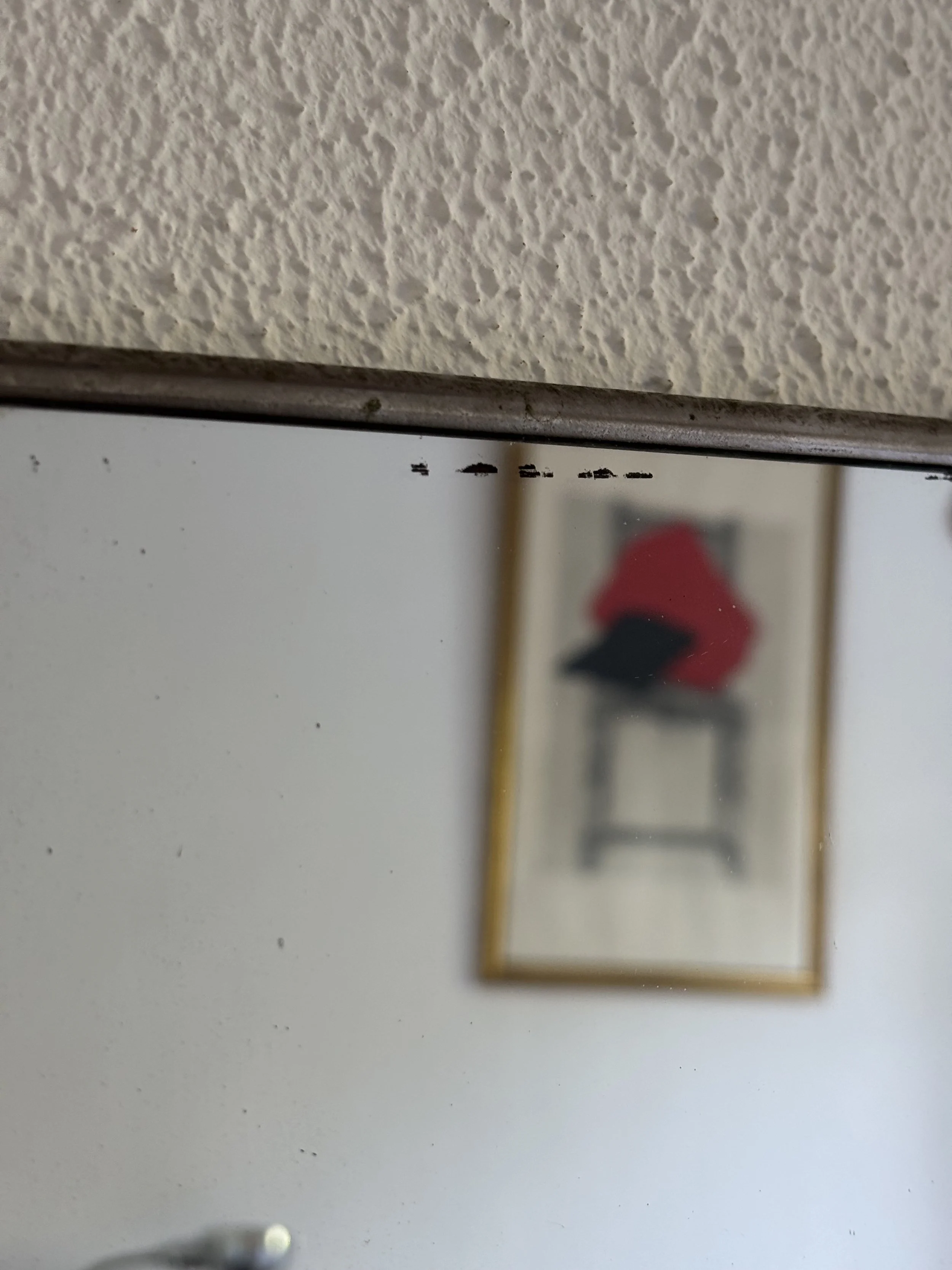 IMG_4795.jpeg
