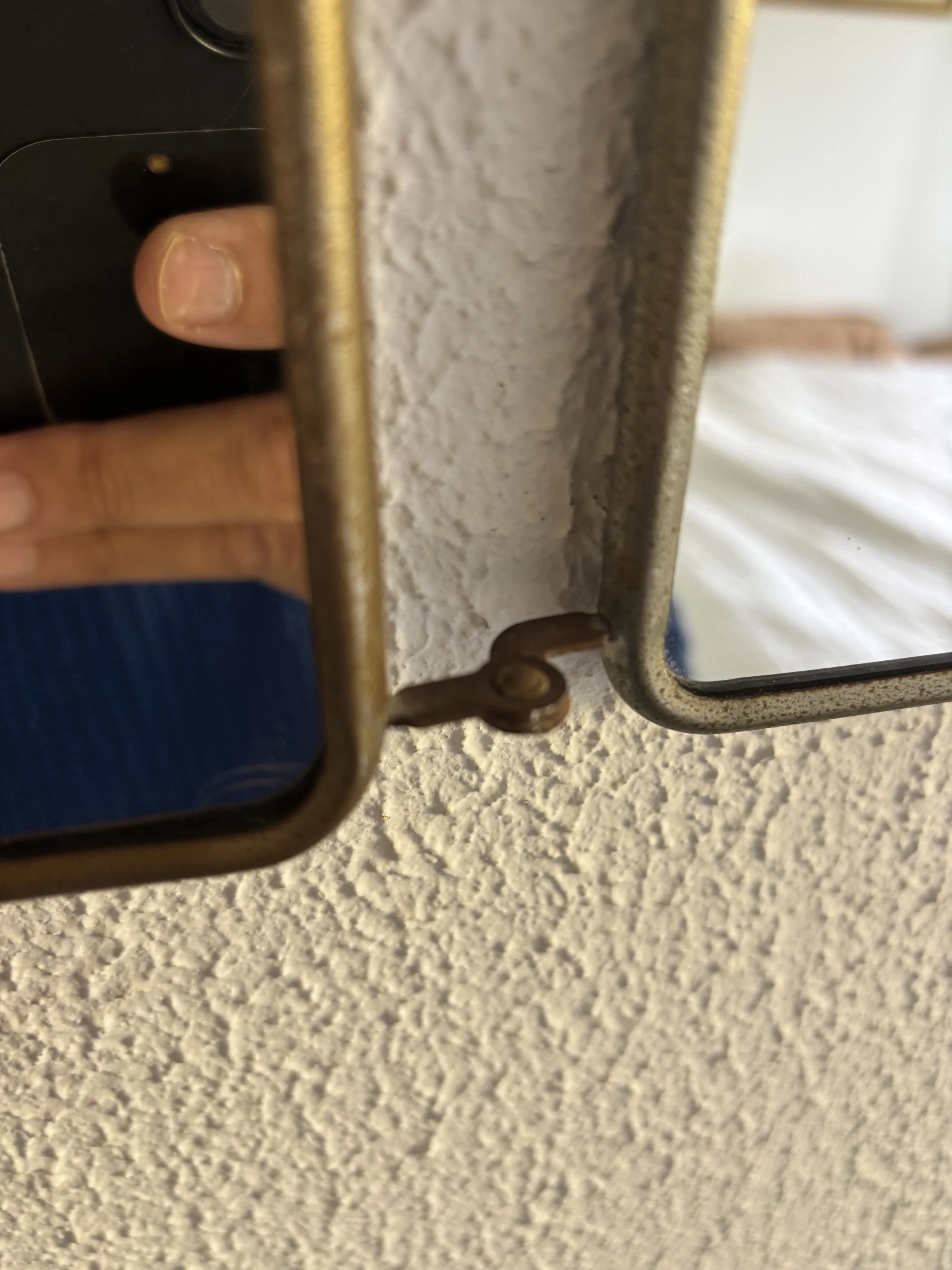 IMG_4242.jpeg