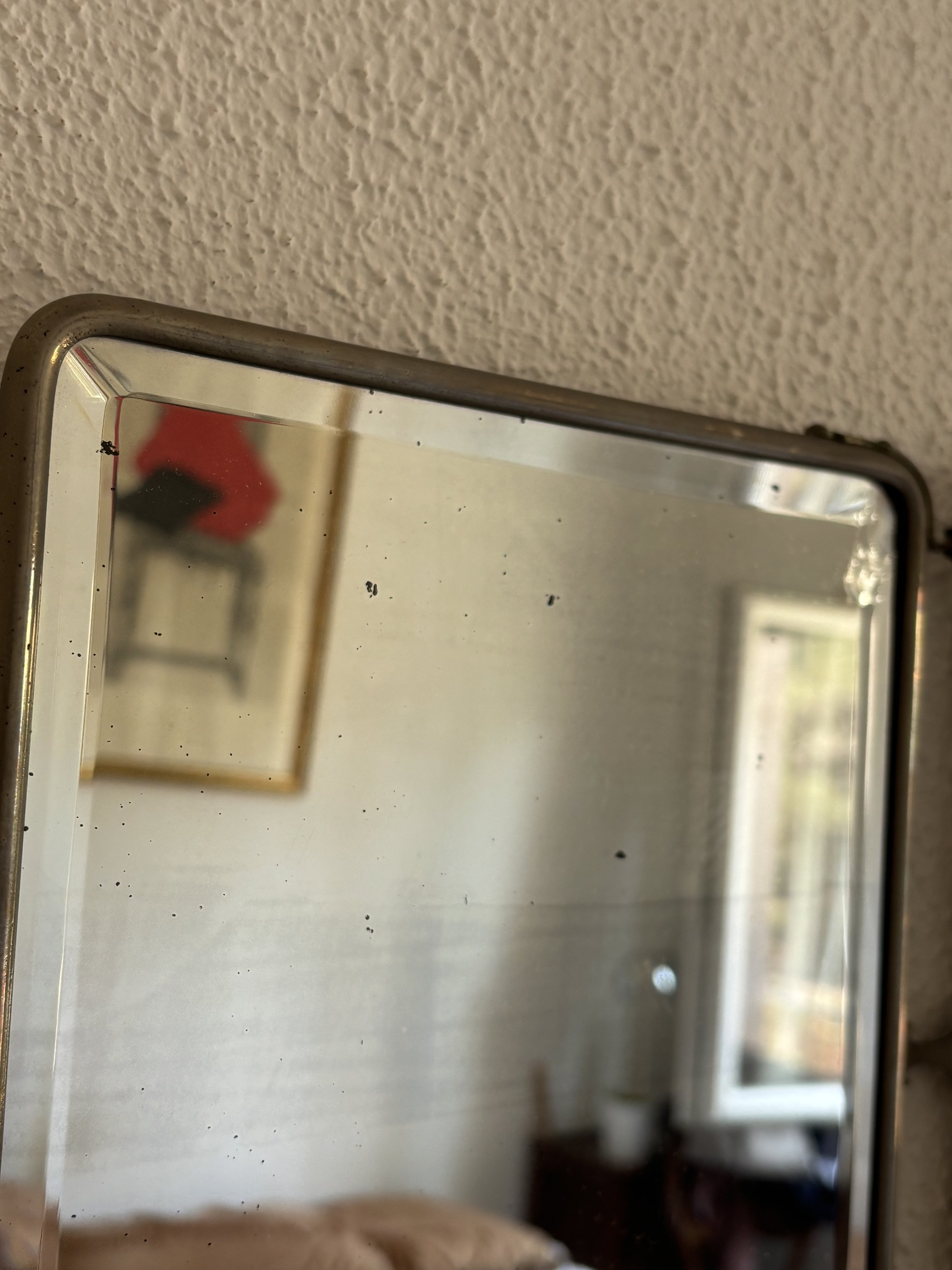 IMG_6532.jpeg