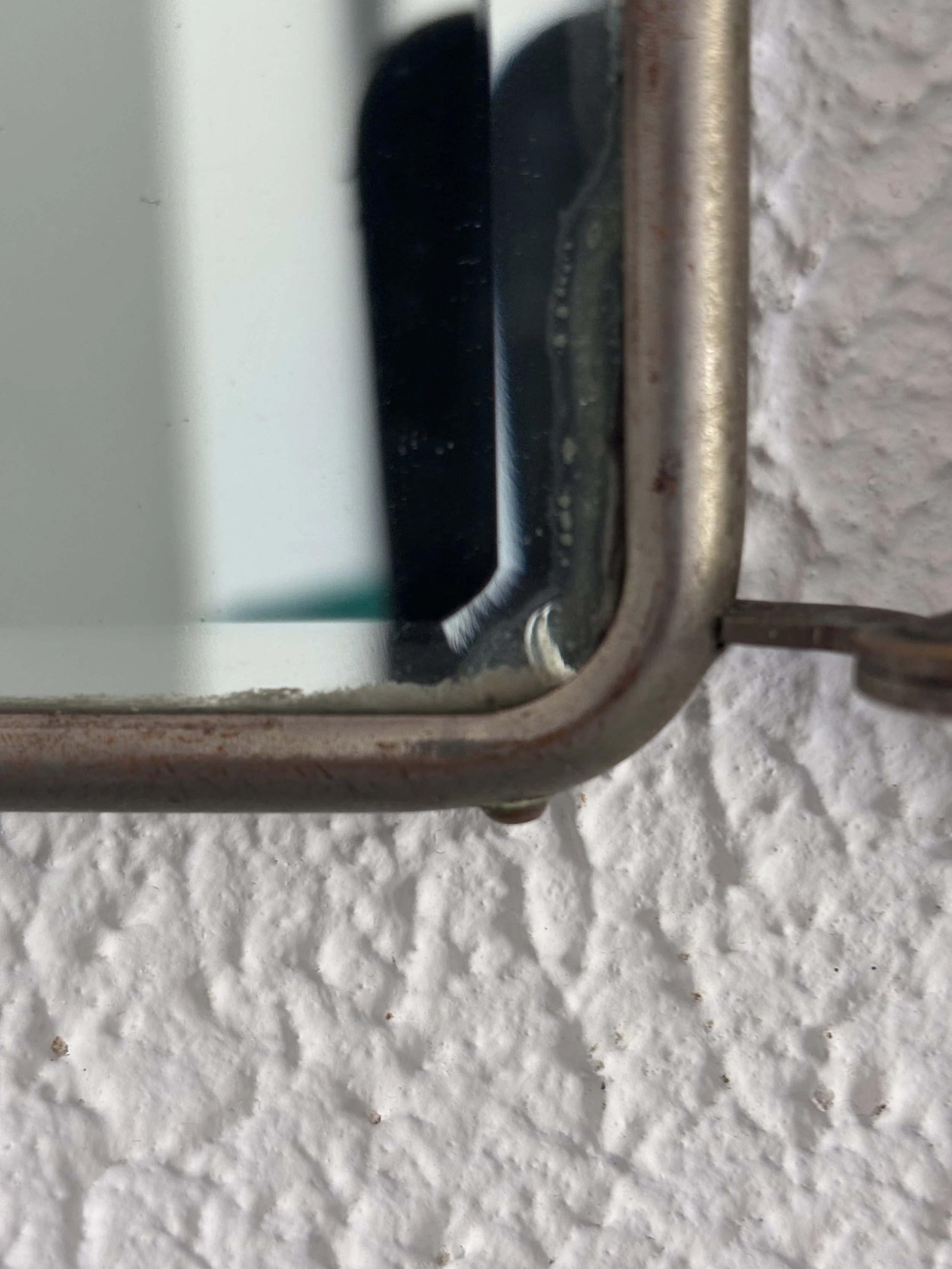 IMG_4191.jpeg