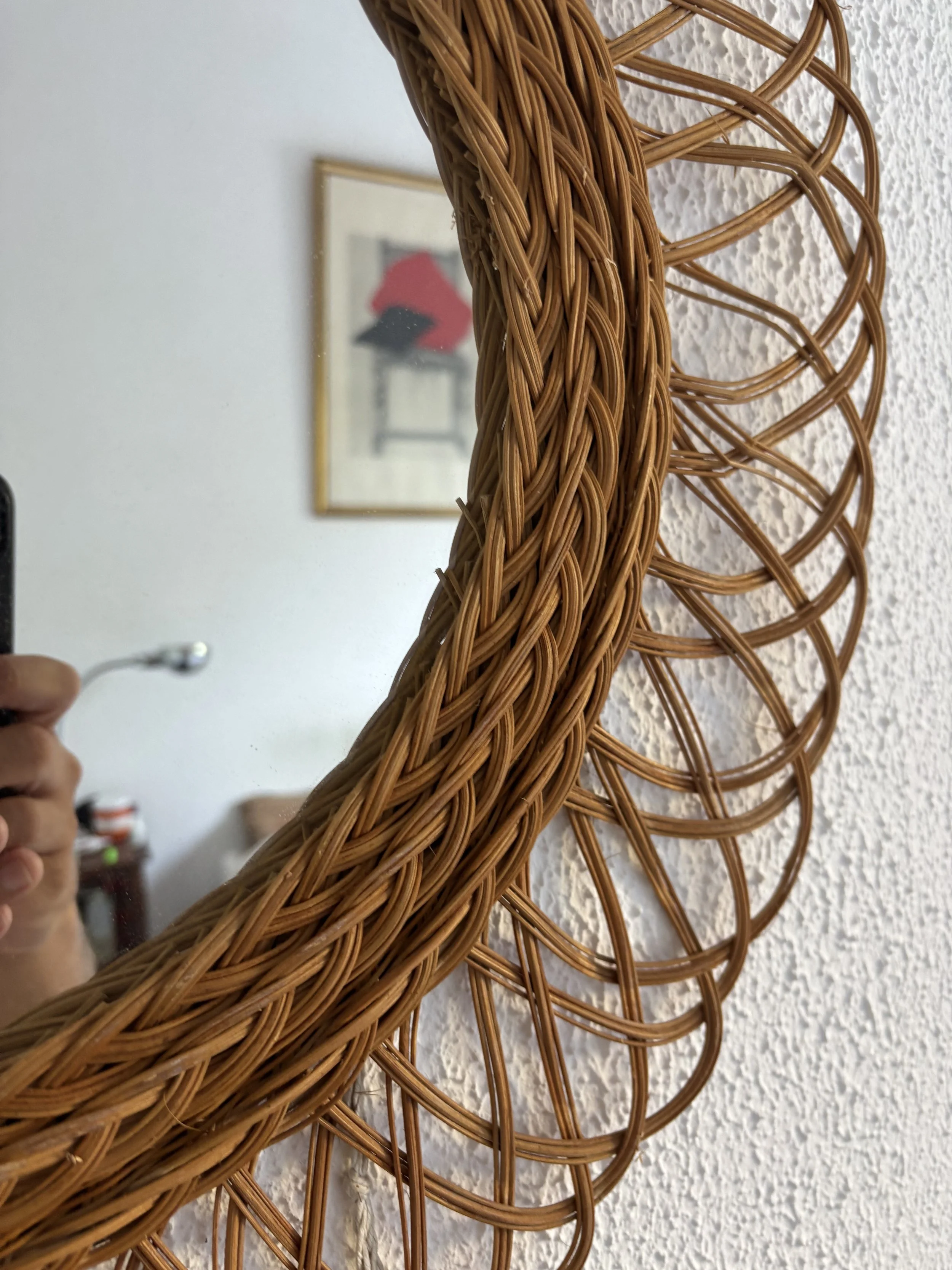 IMG_5009.jpeg