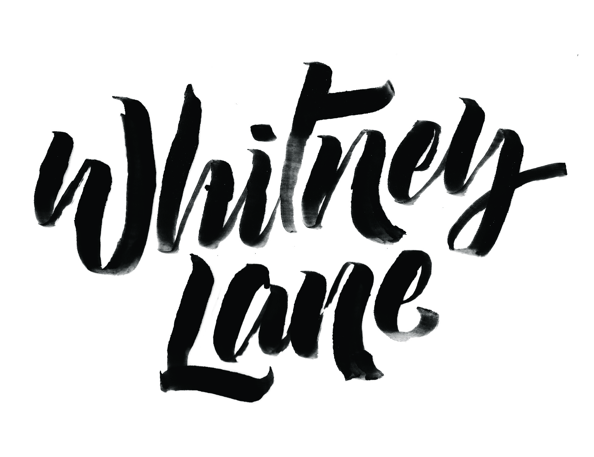 Whitney Lane Logo 1 copy.jpg