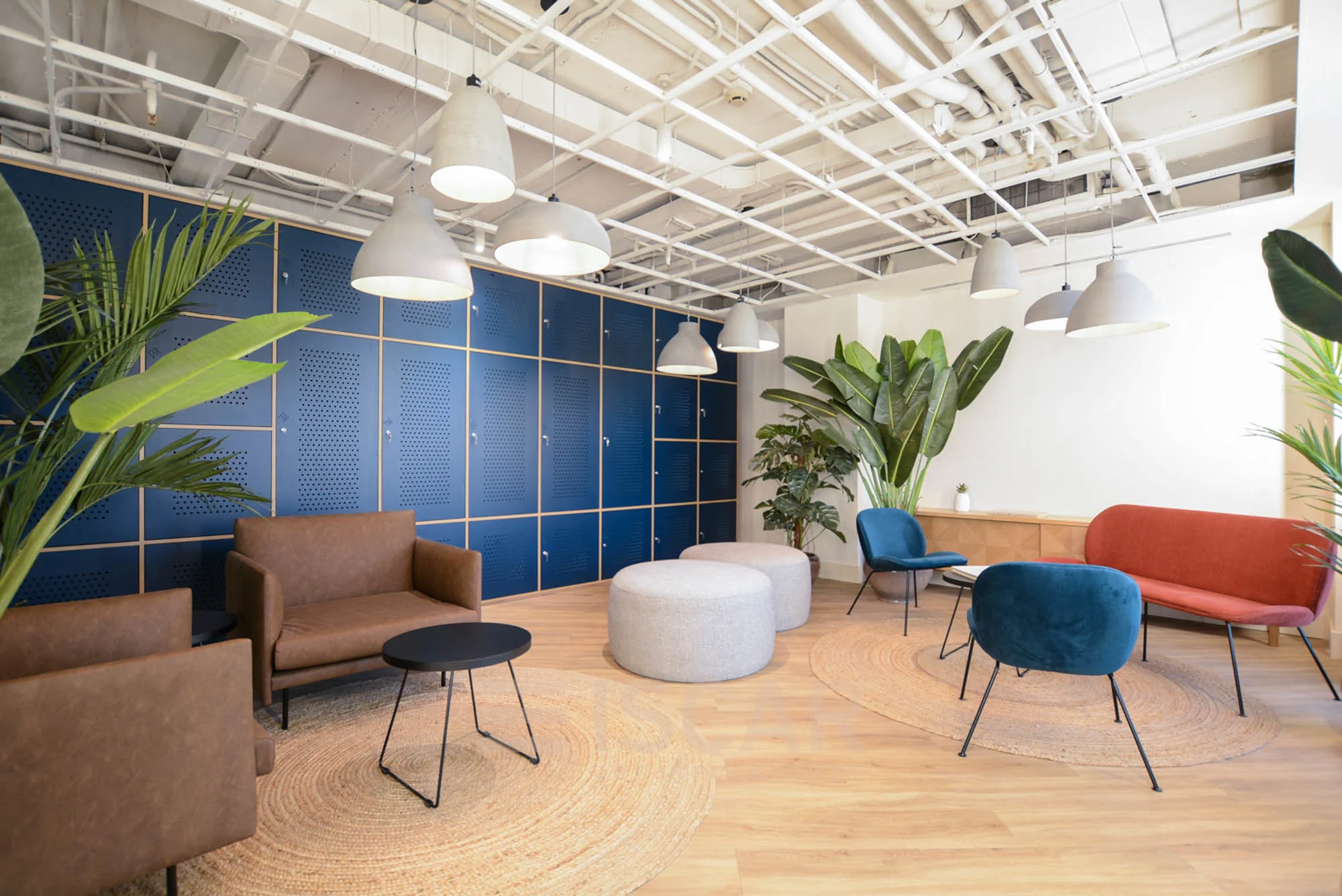 Goya 24 Iscar-14.jpg