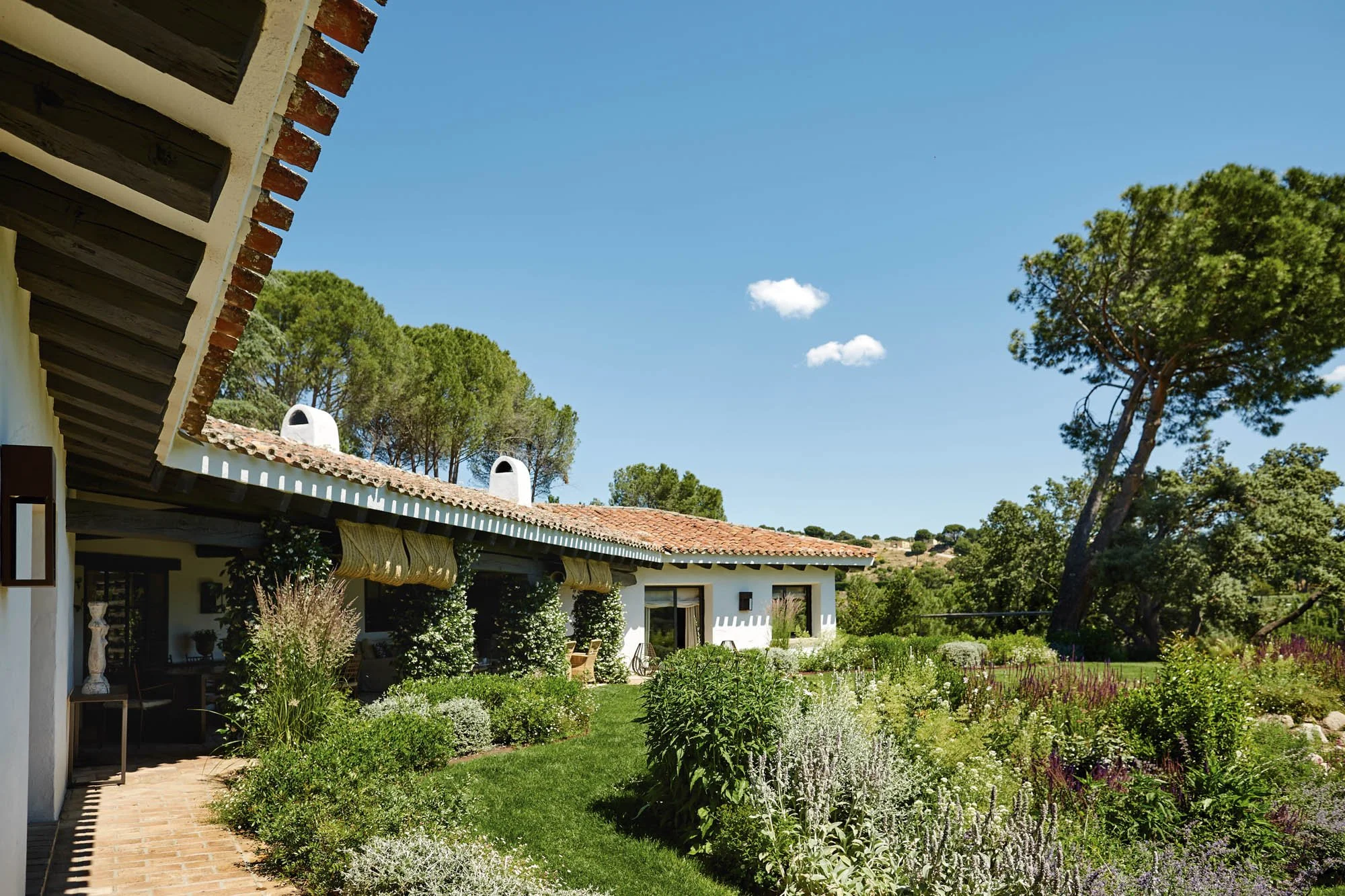 Ustom vivienda pantano-985.jpg