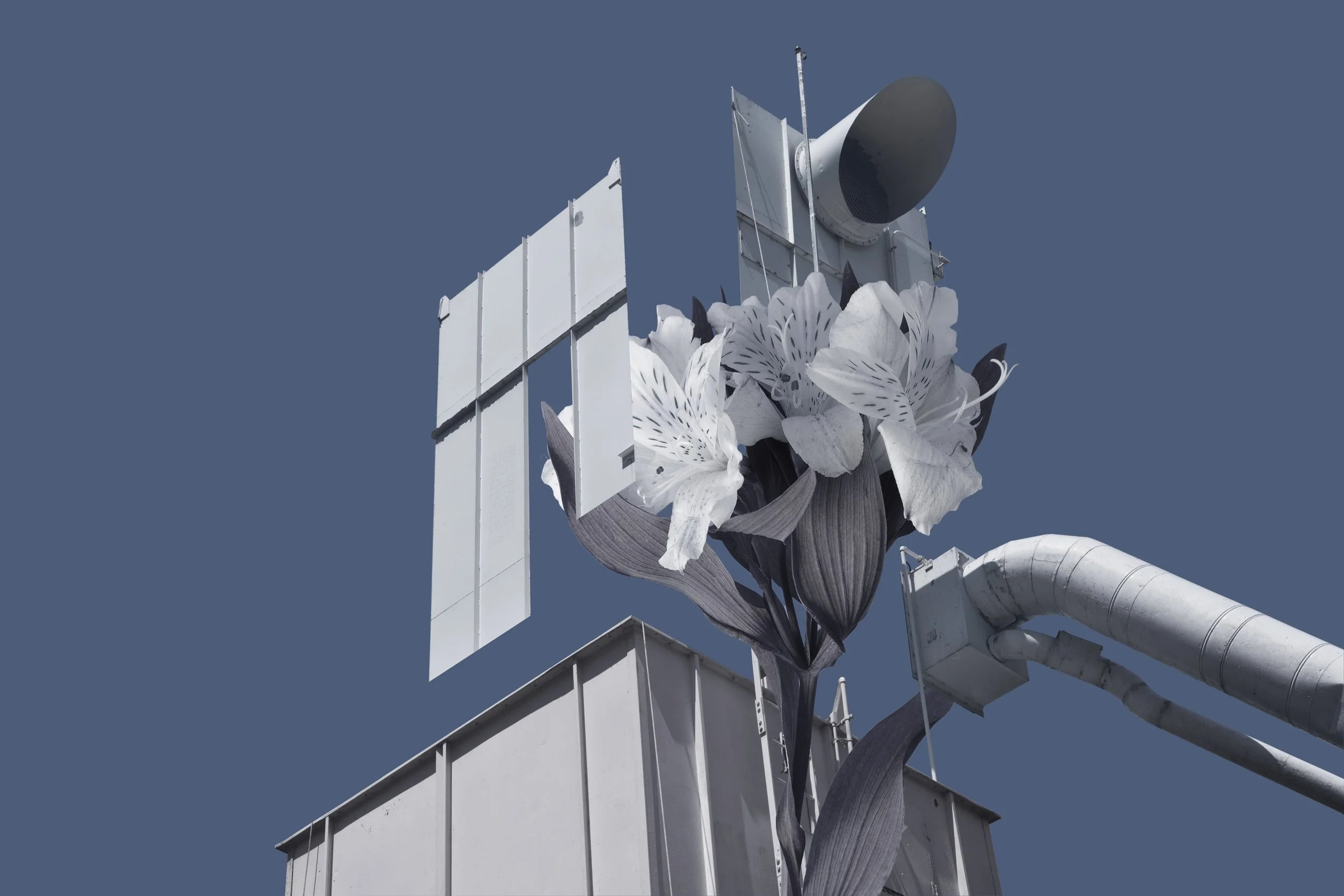 white_tower-1.jpg