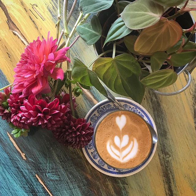 everyday is #earthday! we wouldnโt be able to do this without you, beautiful #earth! thank you for the abundance of #coffee, #plants, and #flowers you provide throughout the seasons. #happyearthday! we love you! ๐ธ featuring #philodendronmicans, a #cortado by @kobrickcoffee & @battenkillcreamery, and #dahlias by @rocksteadyfarm ๐๐๐