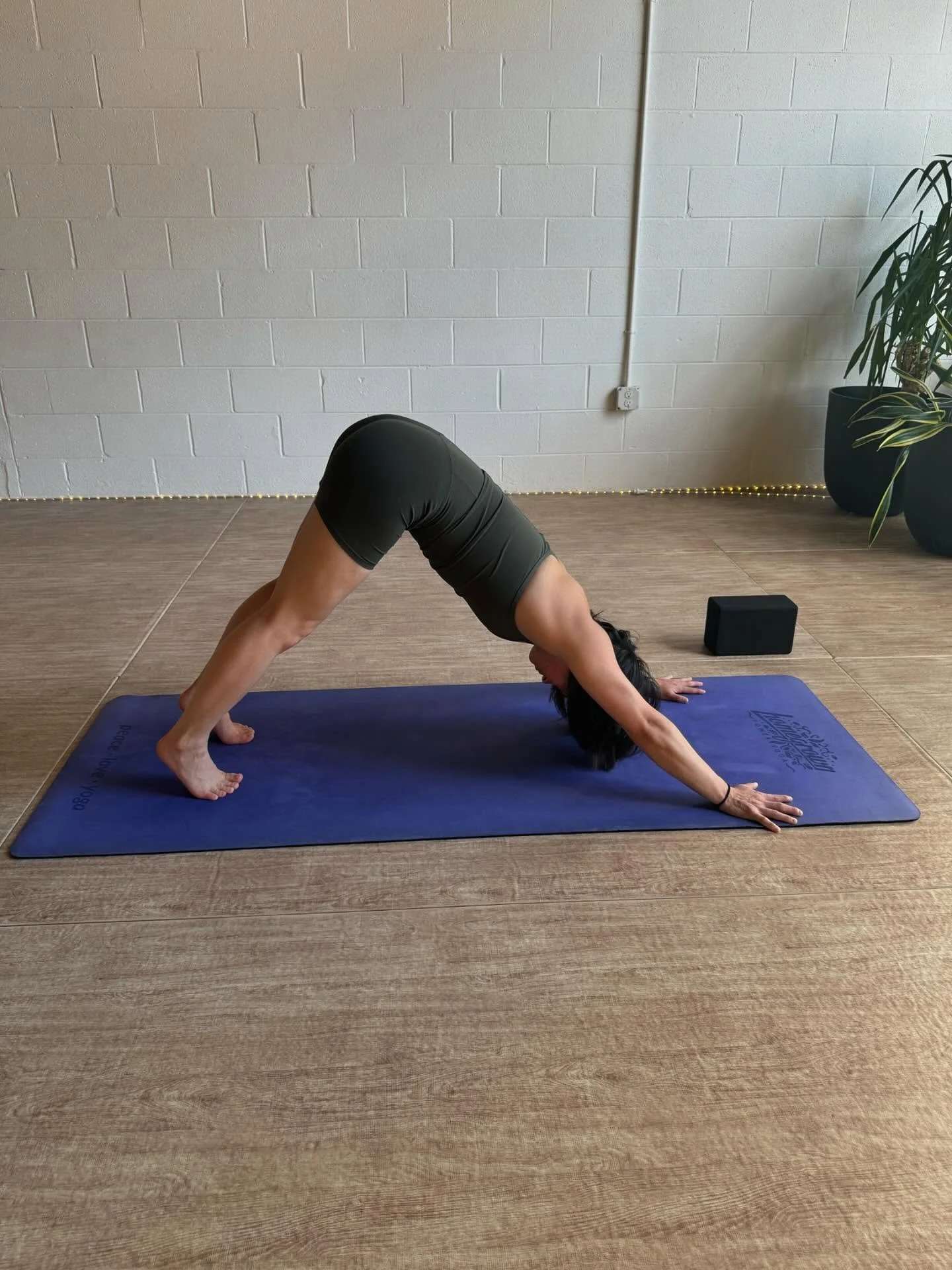 ADHO MUKHA SVANASANA | DOWNWARD FACING DOG

Where the work begins
and the breath takes the lead.

Root through the hands.

Lift the hips.

Breathe steady.

In this powerful shape, we remember:
show up, stay present, create your foundation.

💚💚💚