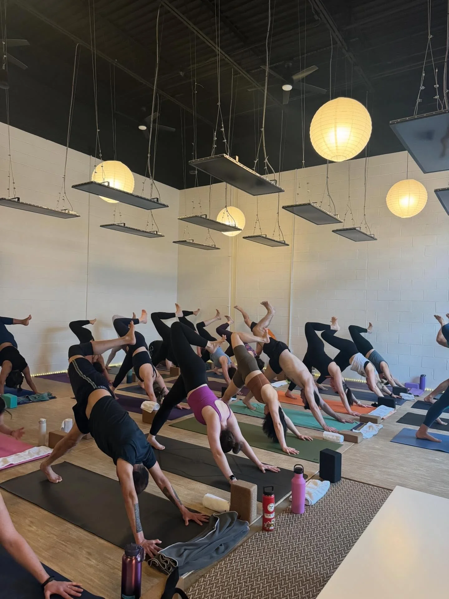 Three Legged Dog | where stability makes space for opening 💚 Join us in class as we explore opening from a space of grounding and presence ✨✨