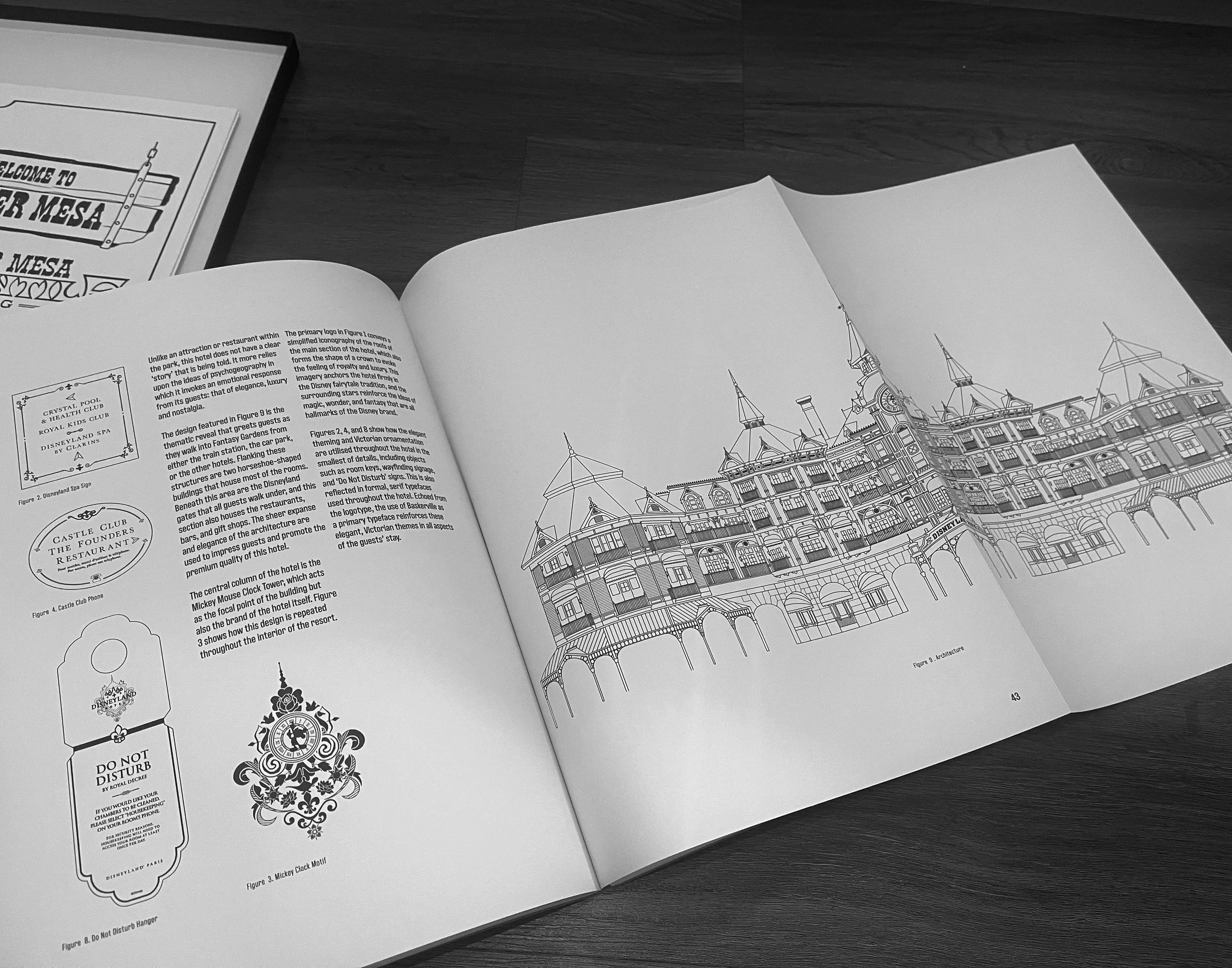 Themed Entertainment Design Book