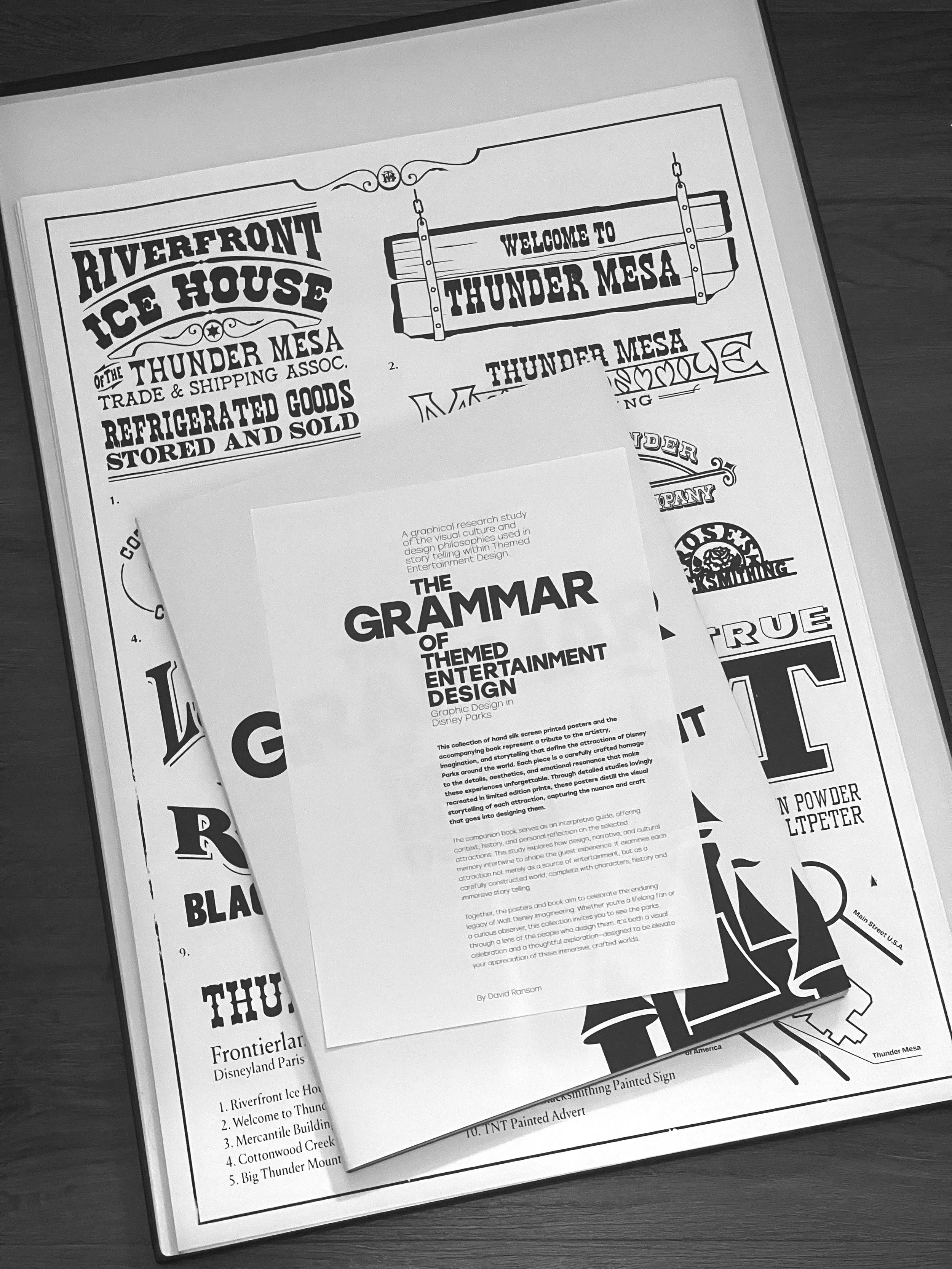 Themed Entertainment Design