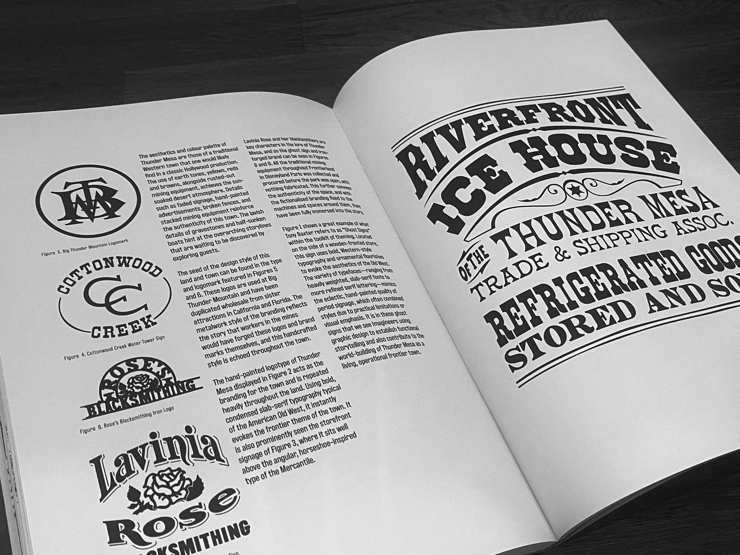 Themed Entertainment Design Book