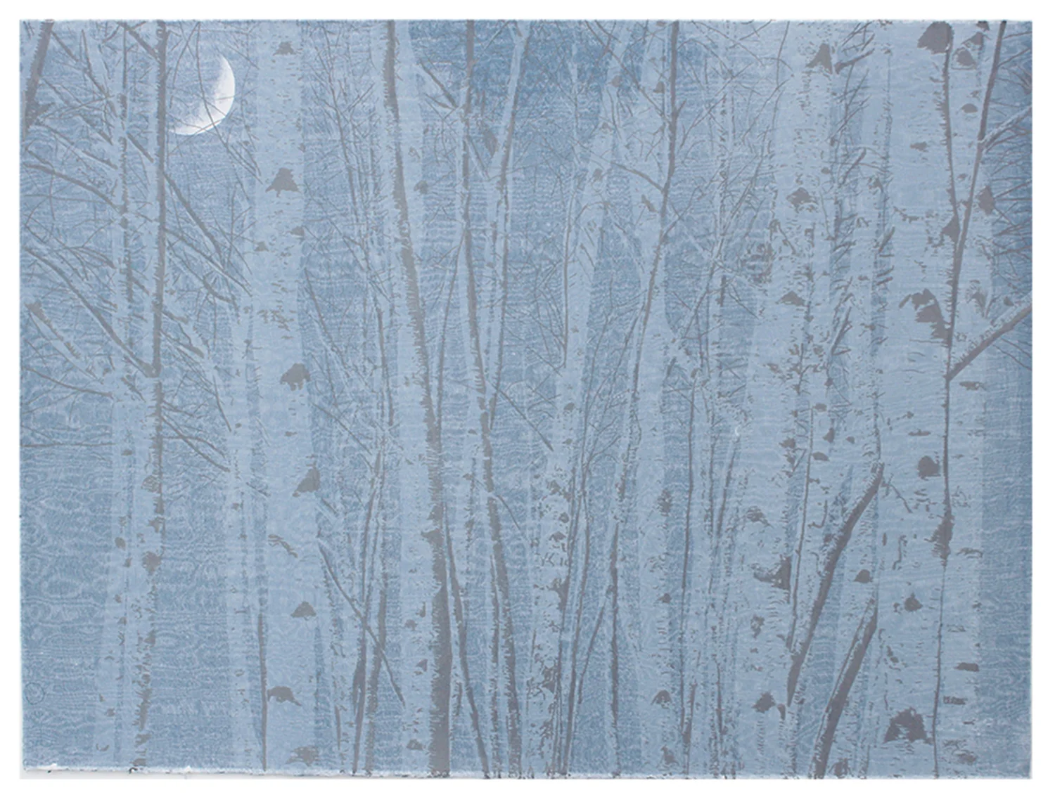 Tate Birches 78x58cm.jpg