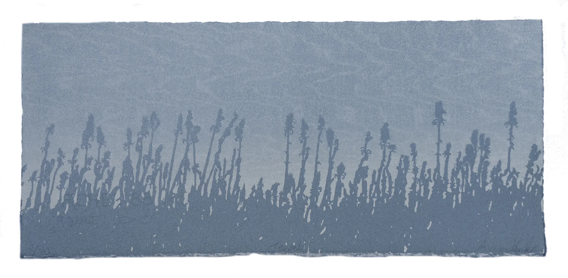 Small Long Print Teasel.jpg