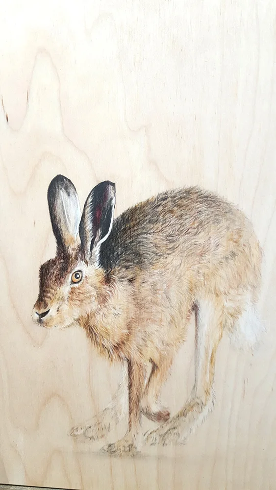 Hare Hopping by Jacqueline Byrne