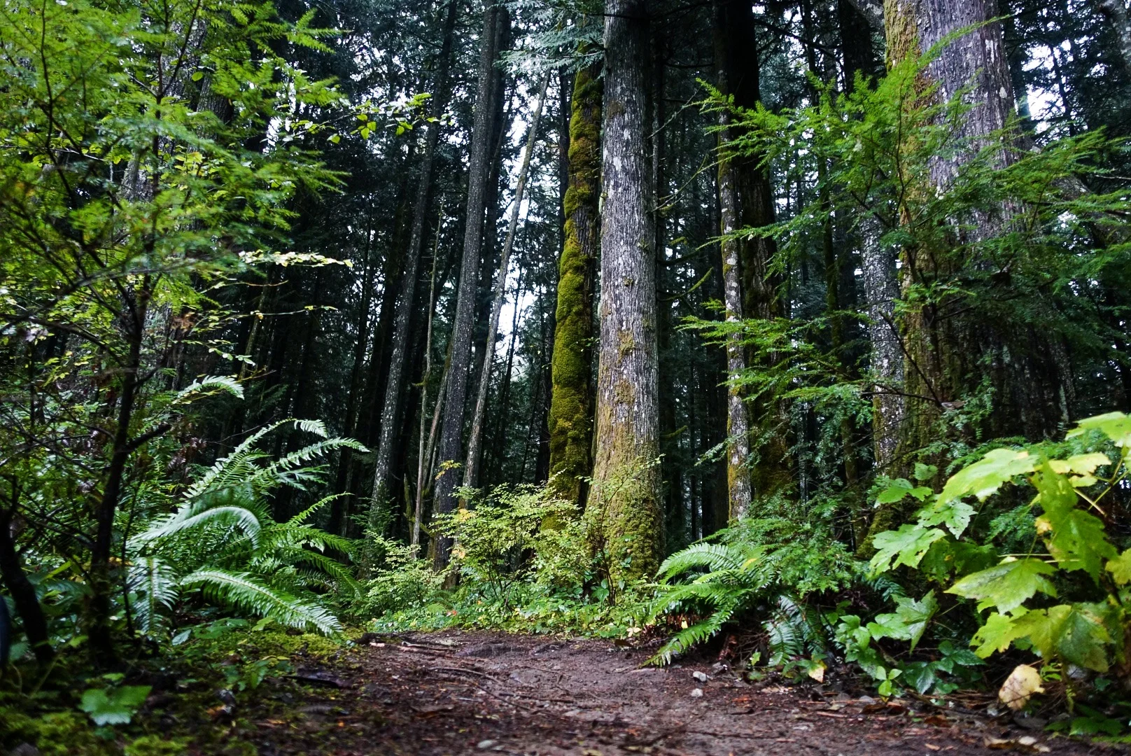 Episode 64 - Wet Conditions Quick'isode with Geoff Kabush