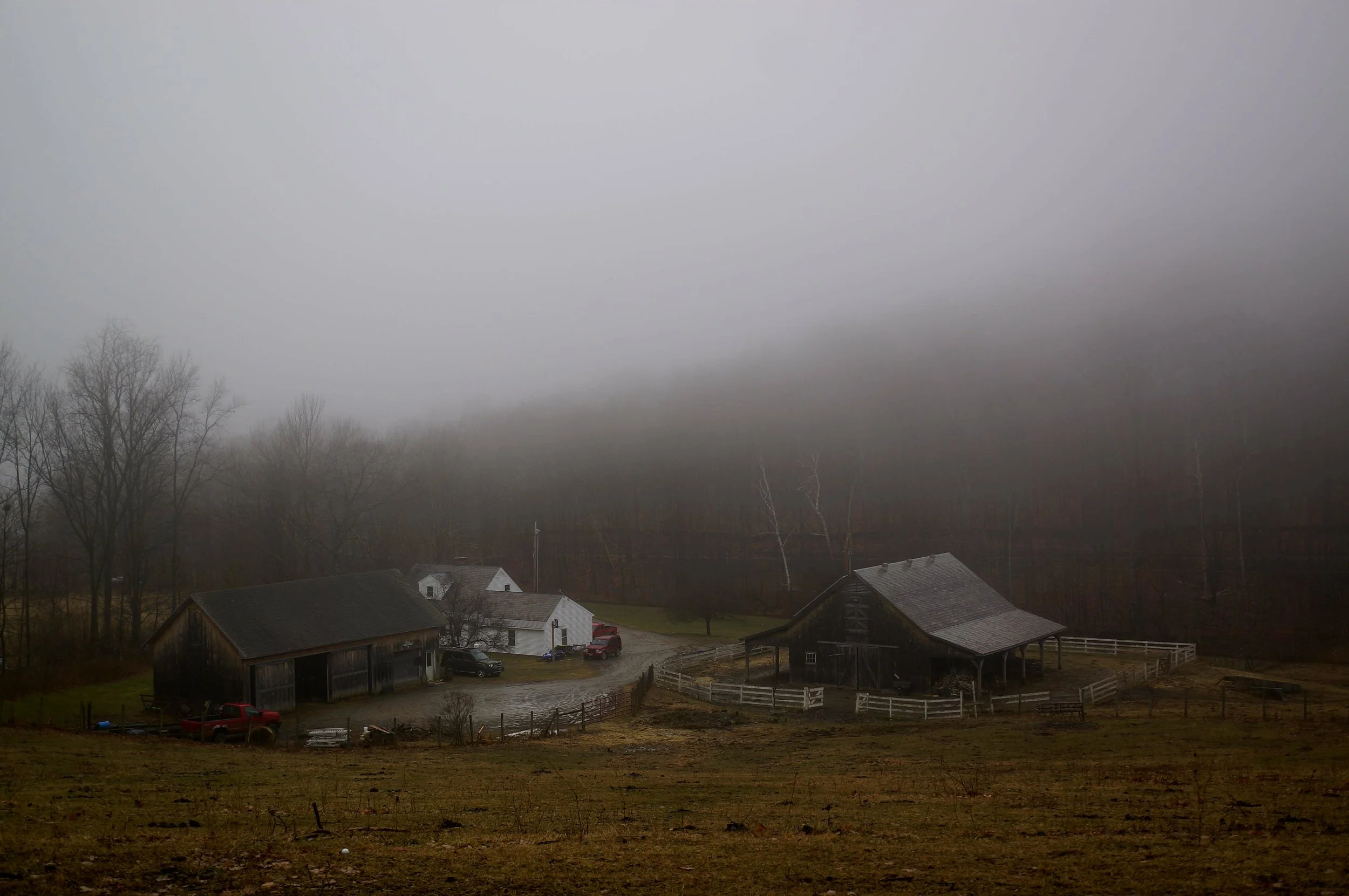 _DSC4587.JPG