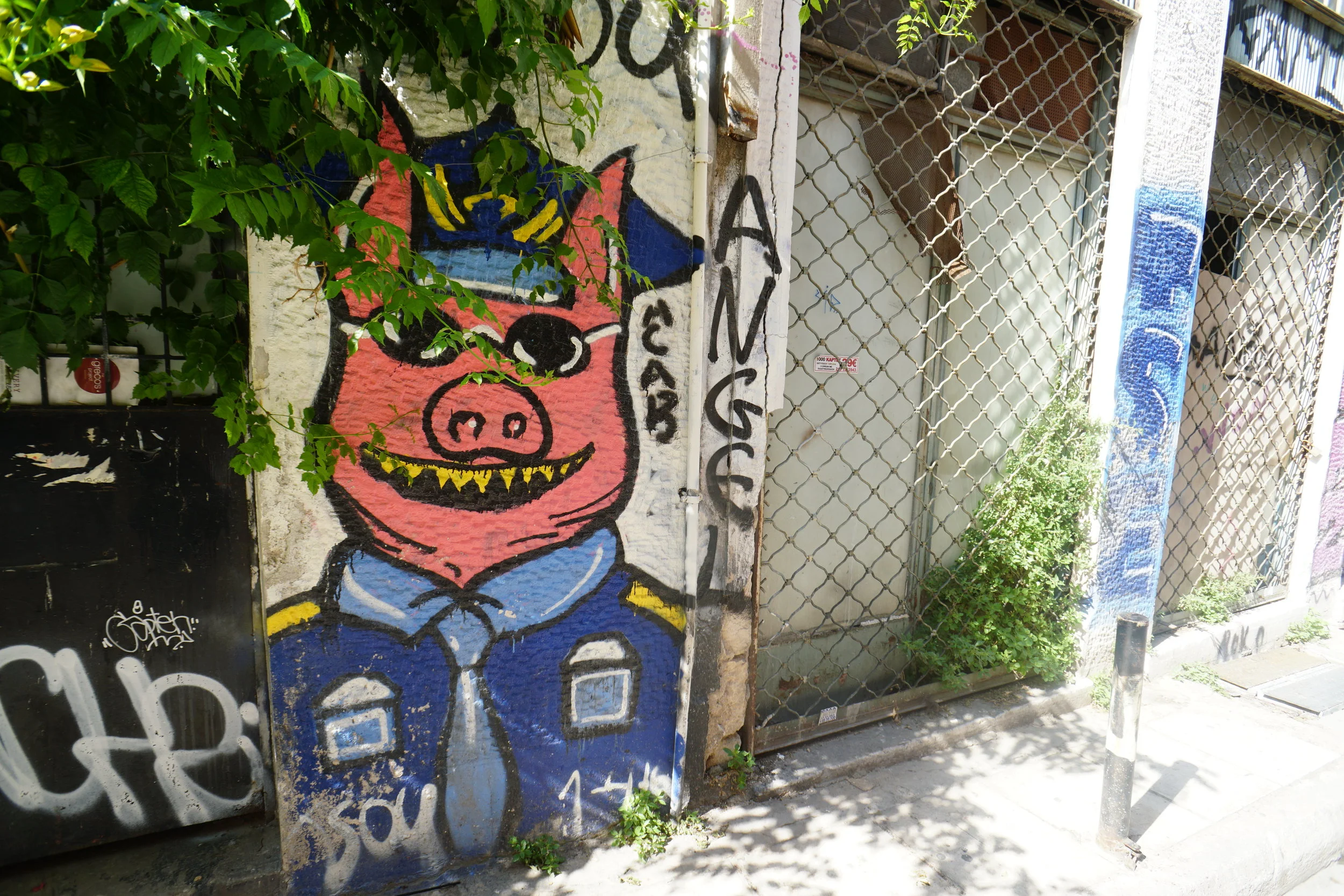 DSC01341.JPG