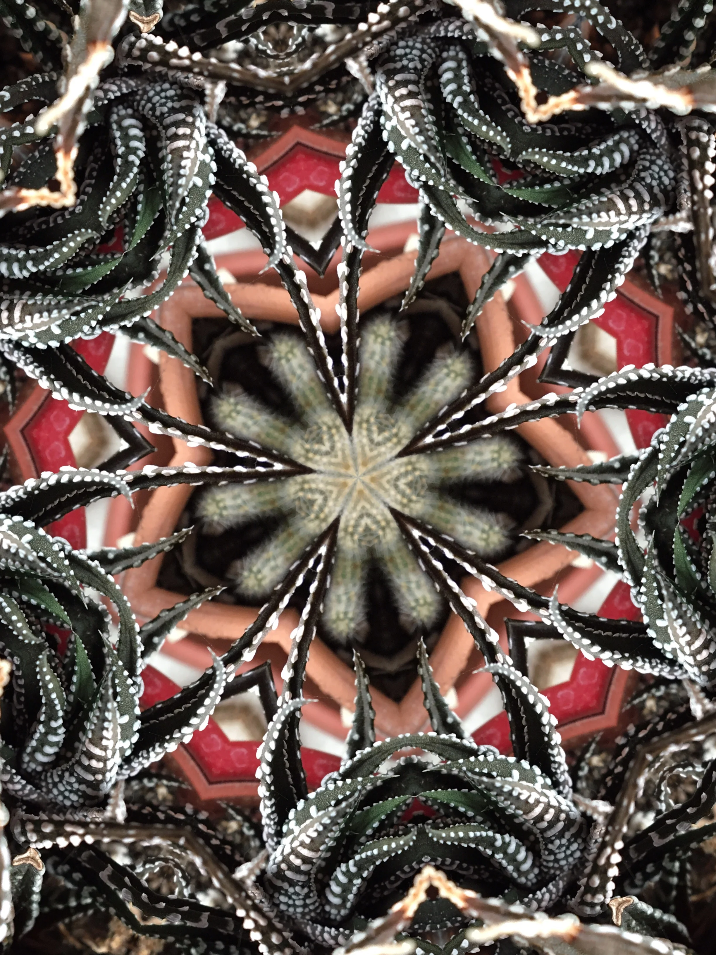 Altered iPhone Image #2