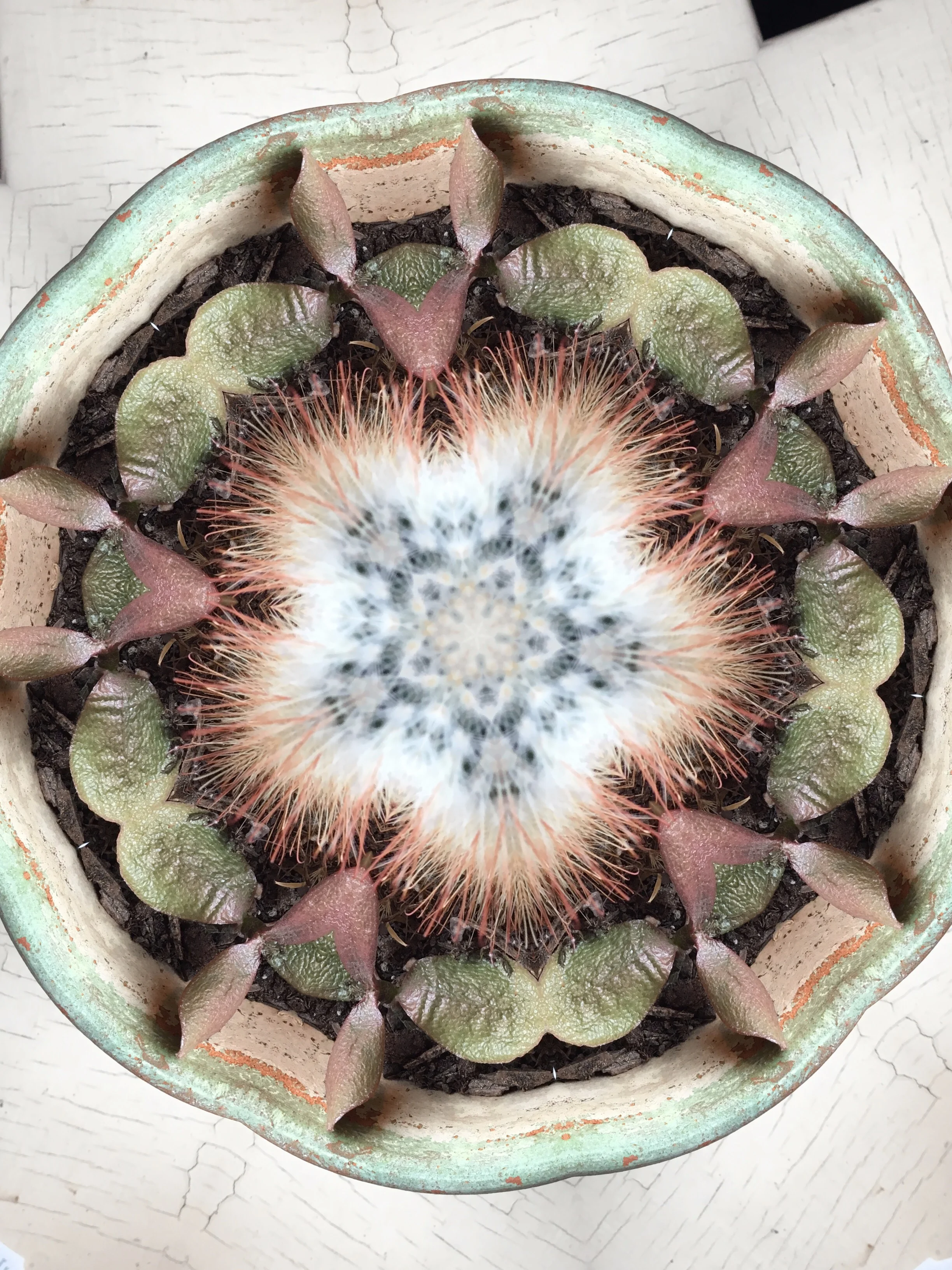 Altered iPhone Image #3