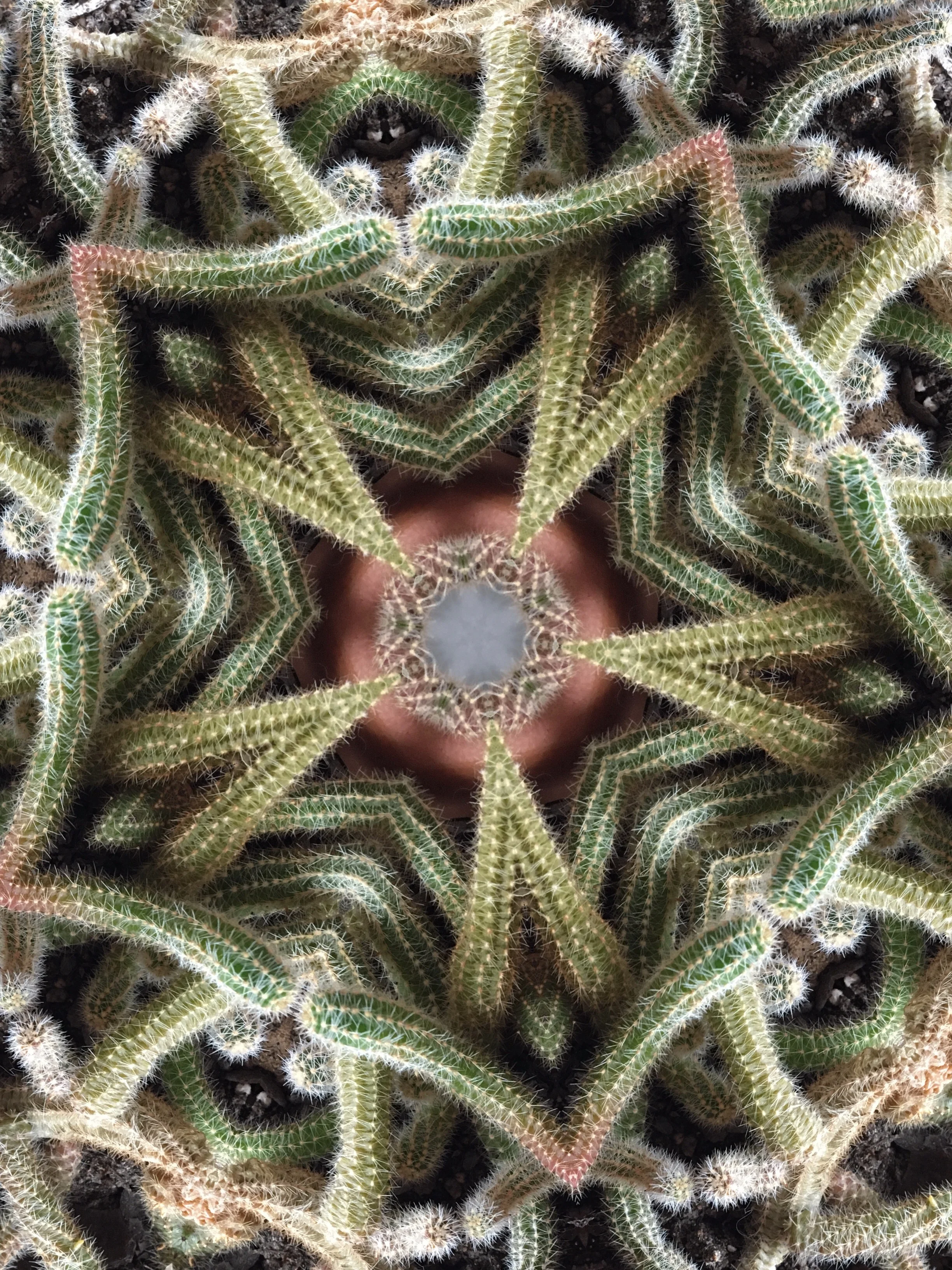 Altered iPhone Image #4