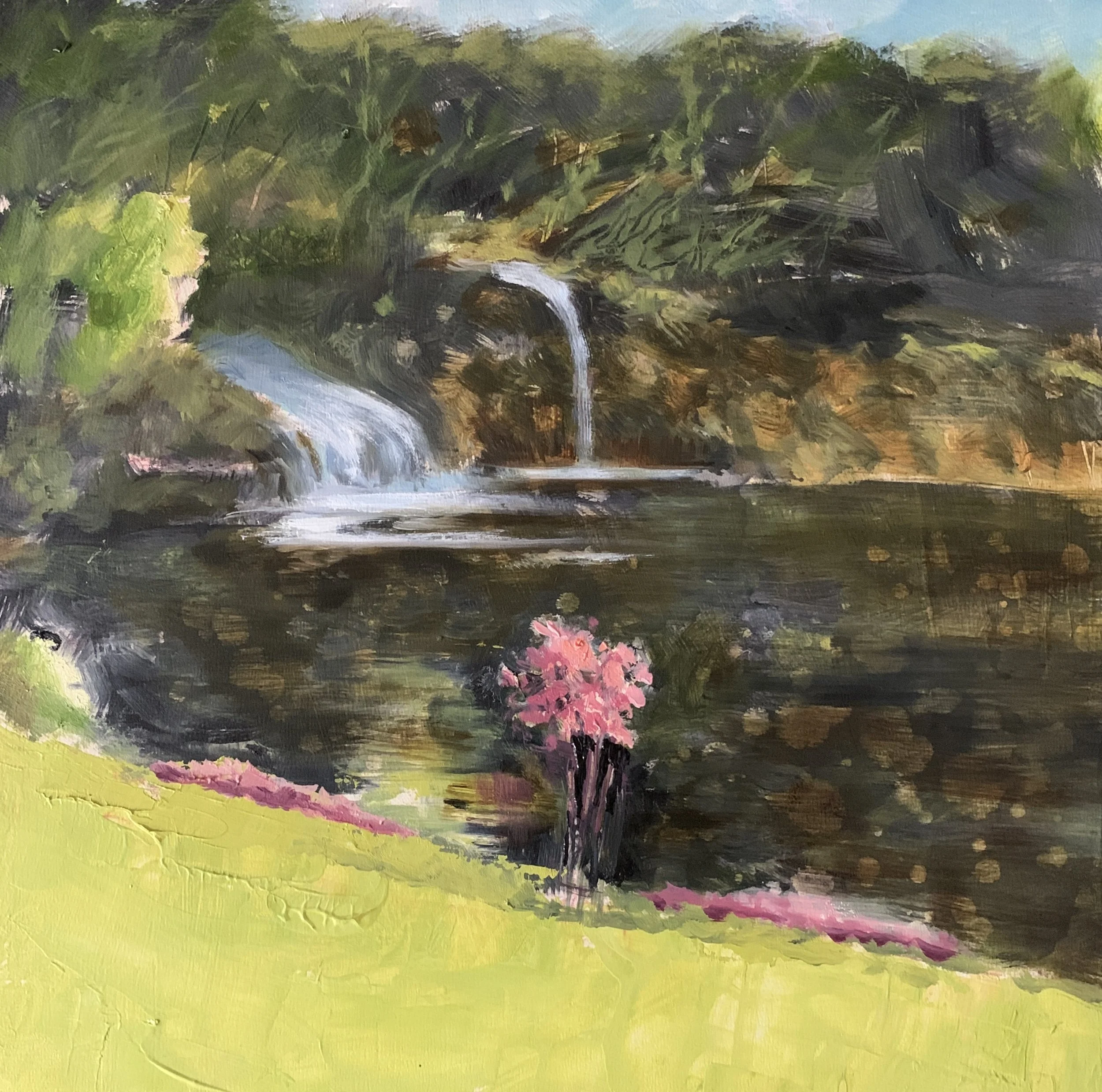 Young Tree at Orquevaux