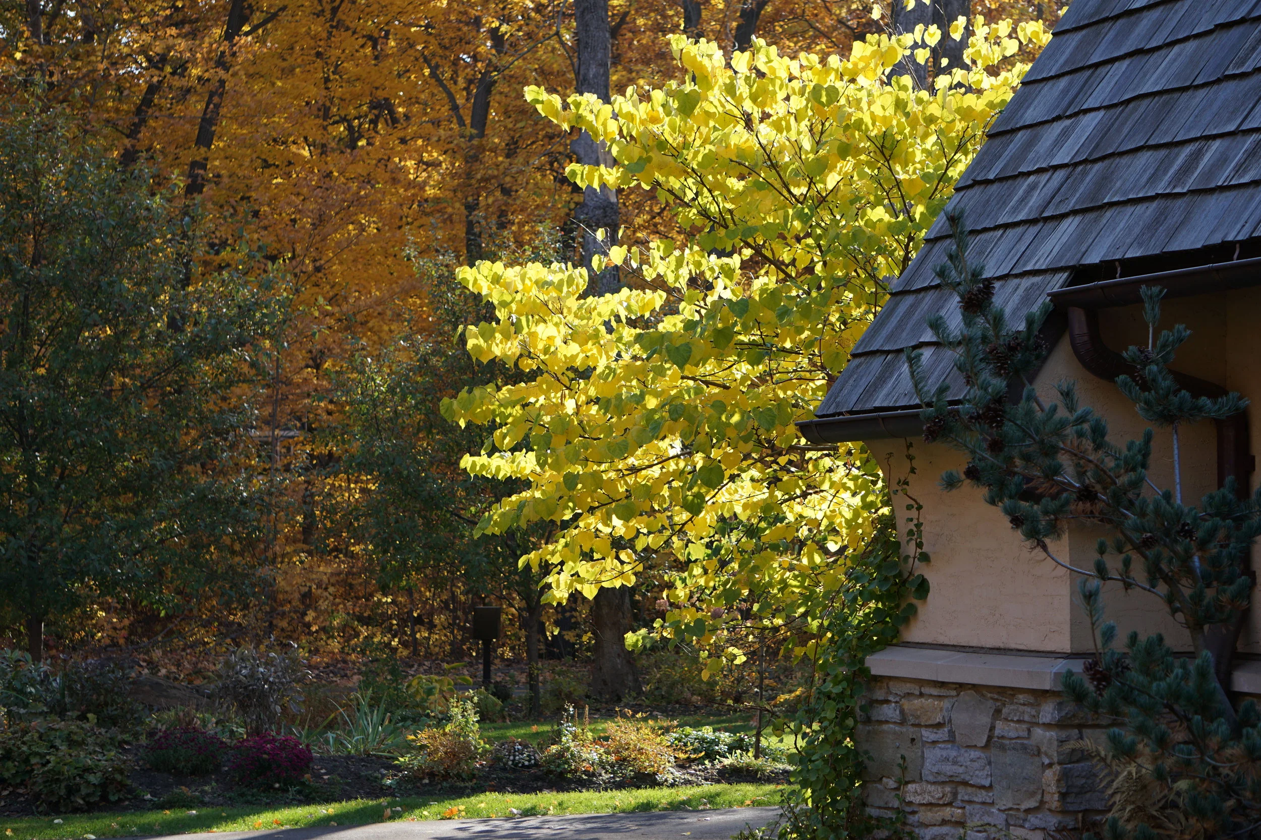 Landscaper Architects are Key to the Future of Our Cities 