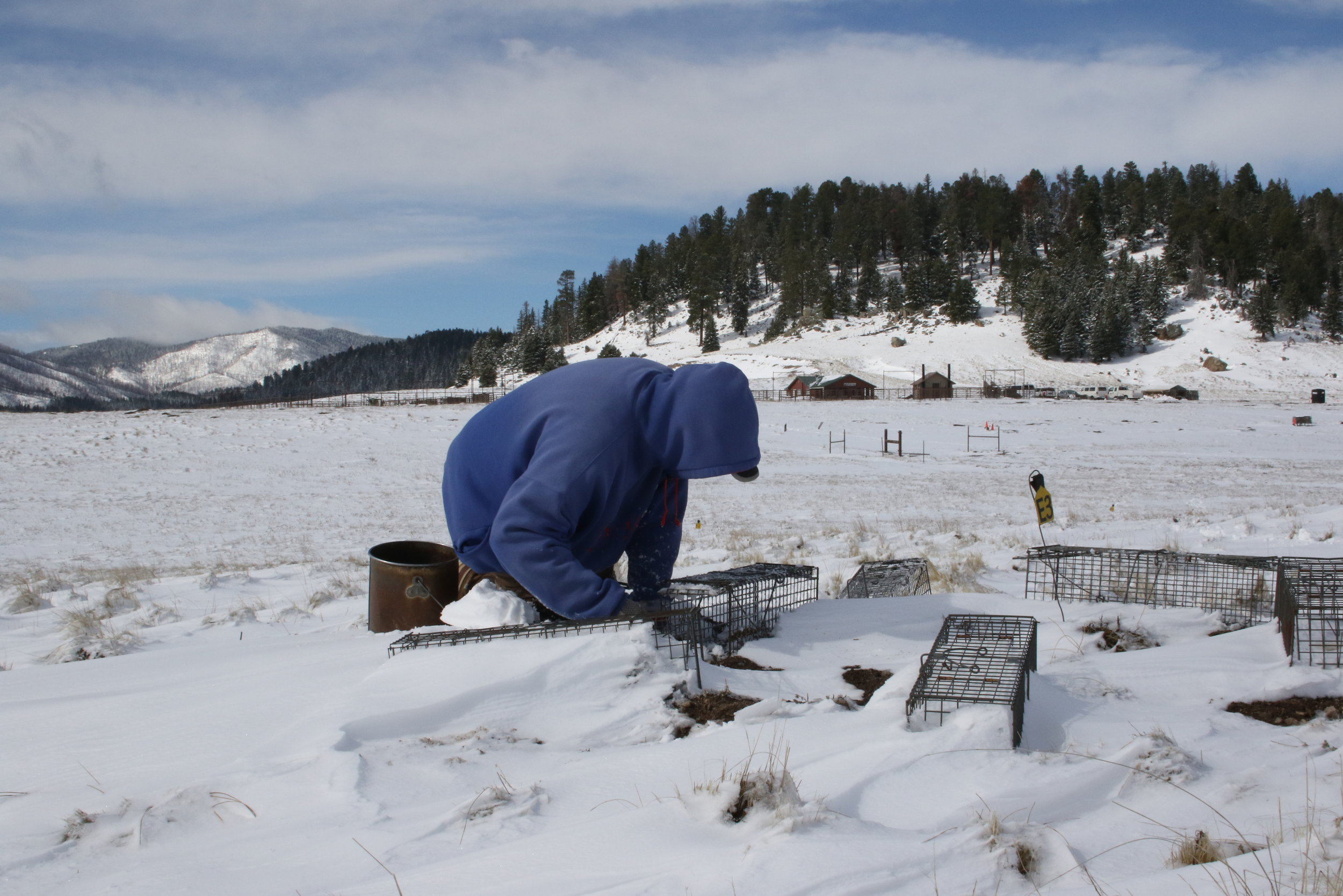  John clears snow from a spread trap set and adds bait.  ©MRR 2017  