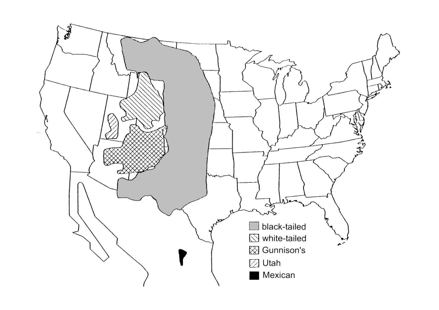 The geographic distribution of all five prairie dog species. Image from Conservation of the Black-Tailed Prairie Dog , edited by John Hoogland.