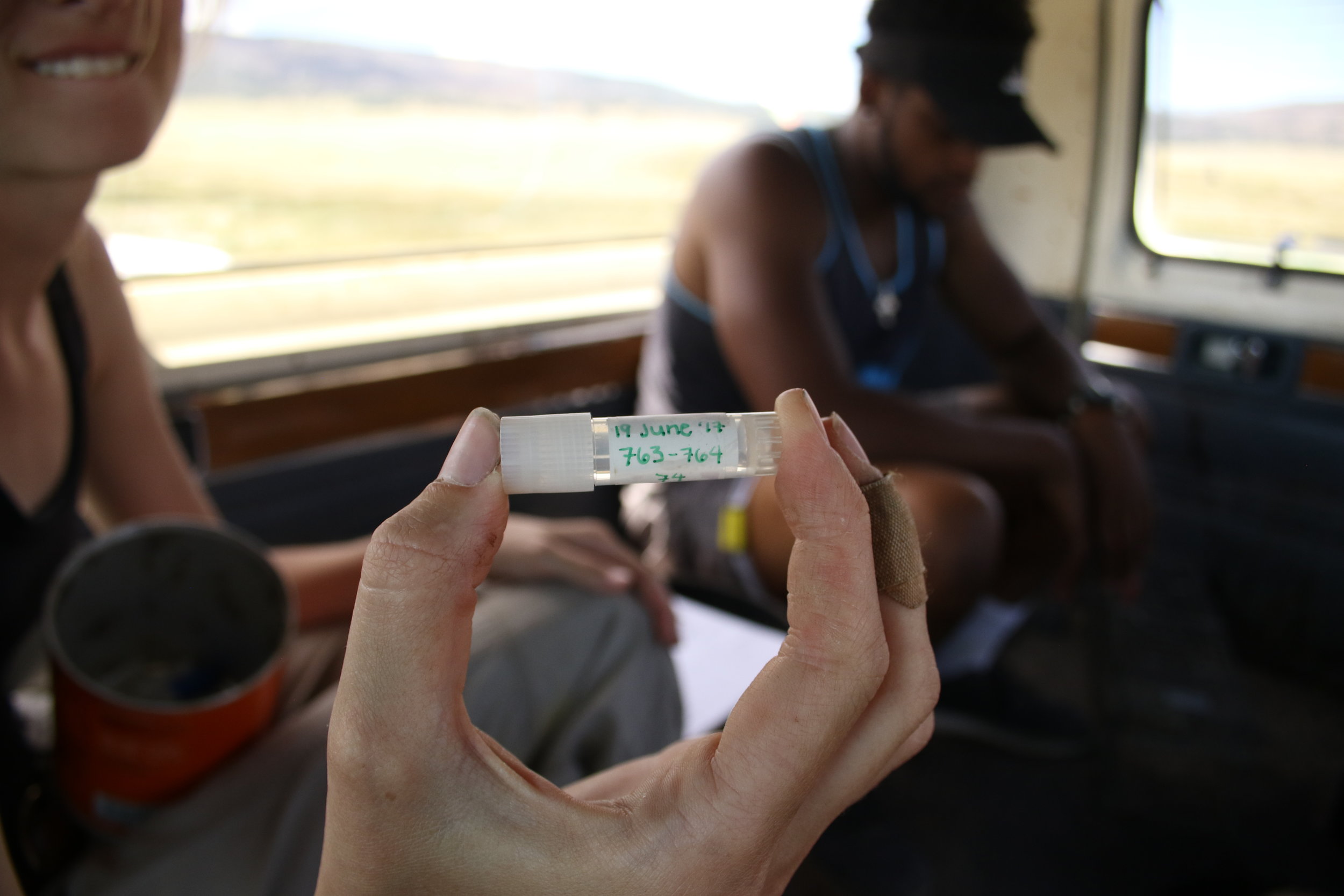  Tissue samples go into individual vials for each prairie dog.  ©MRR 2017  