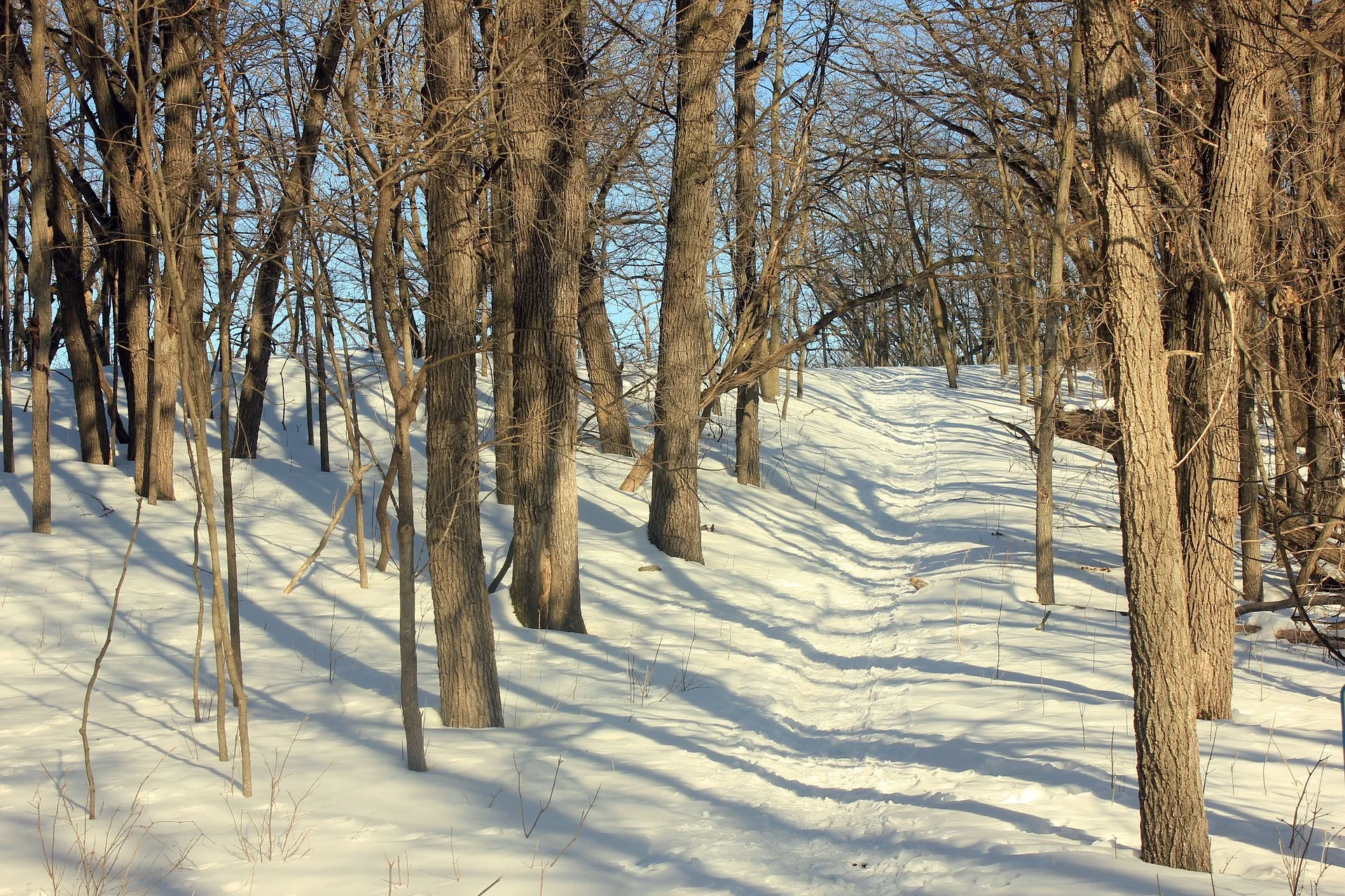 minnesota-347368_1920.jpg