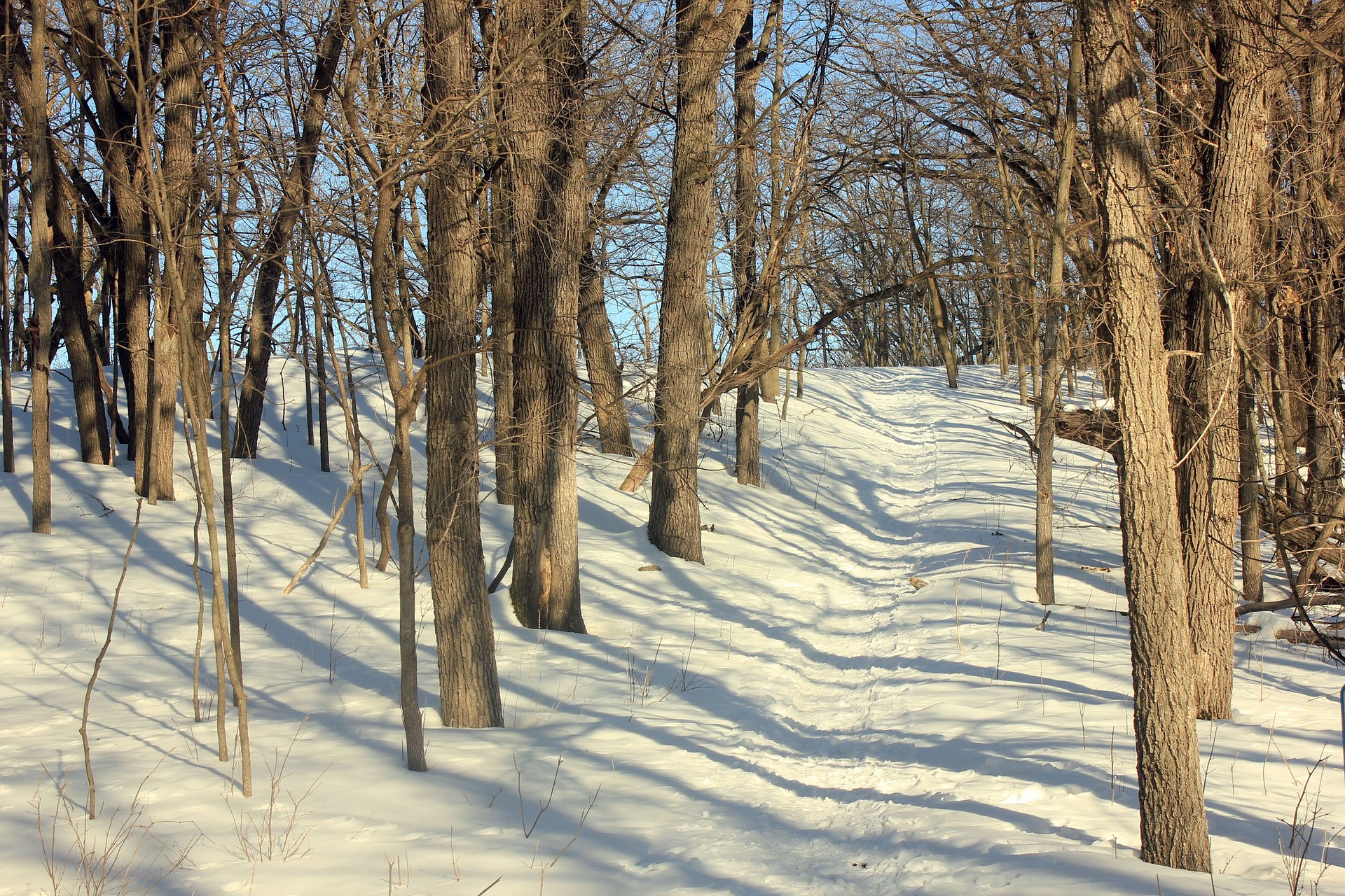 minnesota-347368_1920.jpg