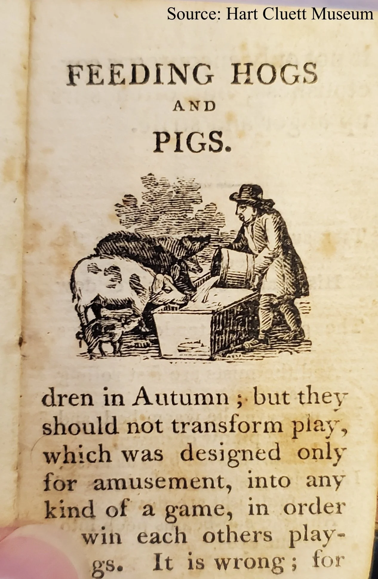 FeedingHogsAndPigs.jpg