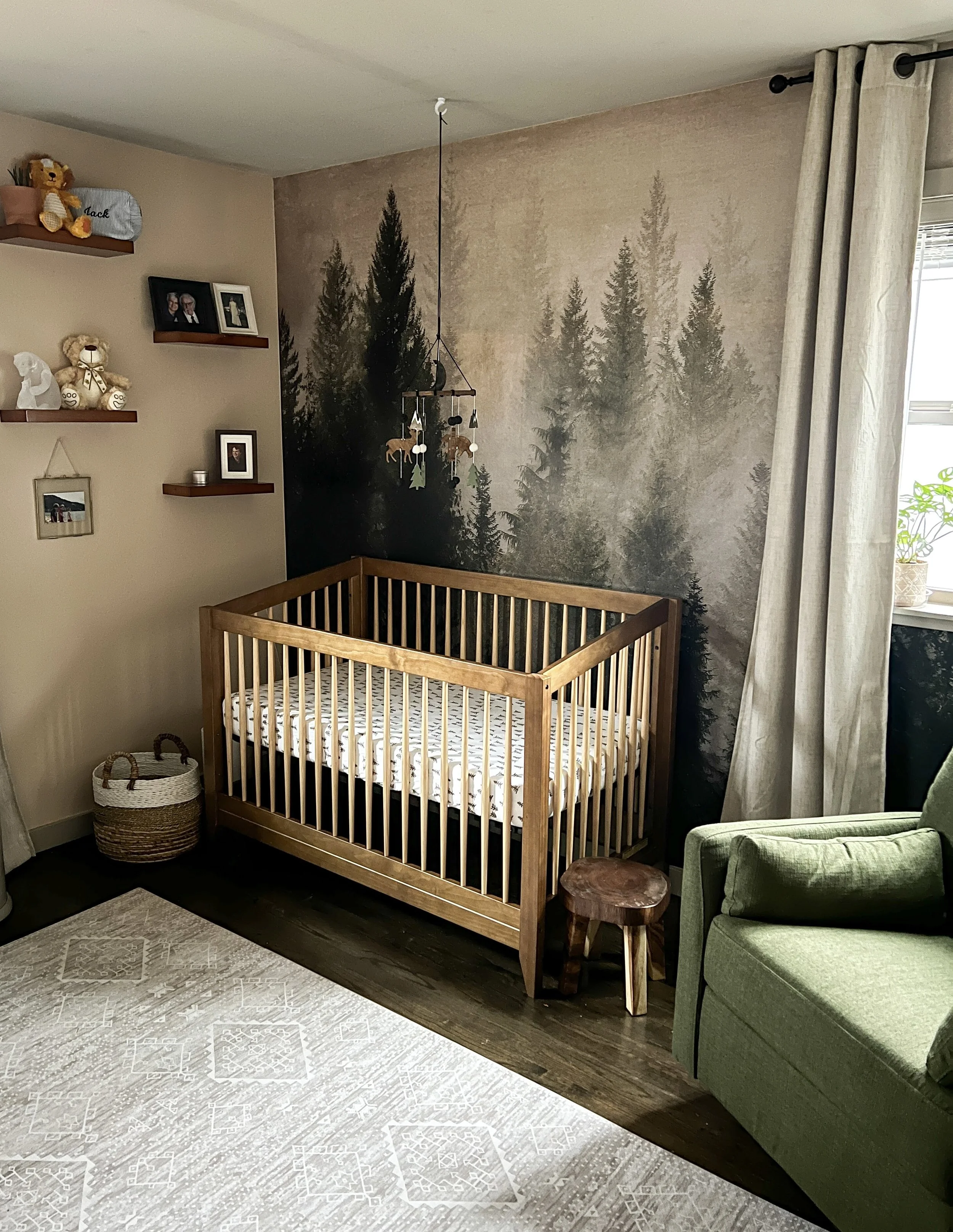 Rustic Nursery Design in Decatur