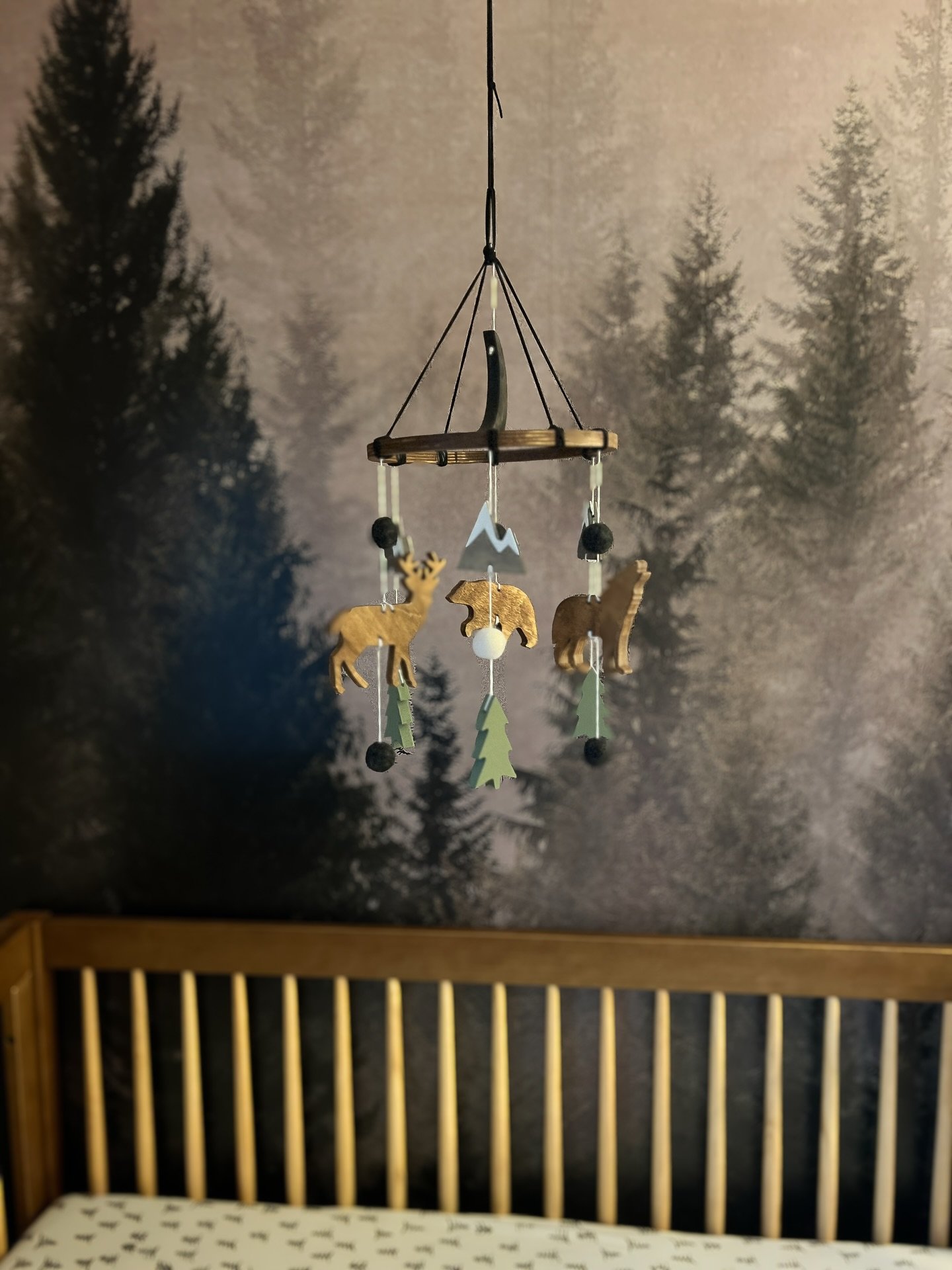 Seems like just last week we were prepping this woodland nursery for a sweet baby boy. 🌲🩵

A year has flown by and he's turning 1 this week! So grateful that his parents allowed me to help create the coolest room to grow up in - happy birthday, bab