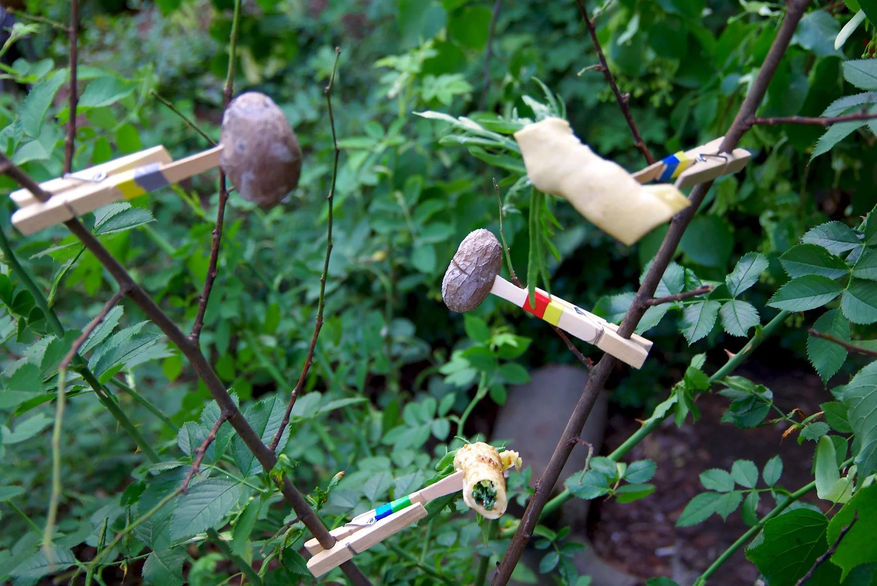 essbare_hecken_02 .jpg