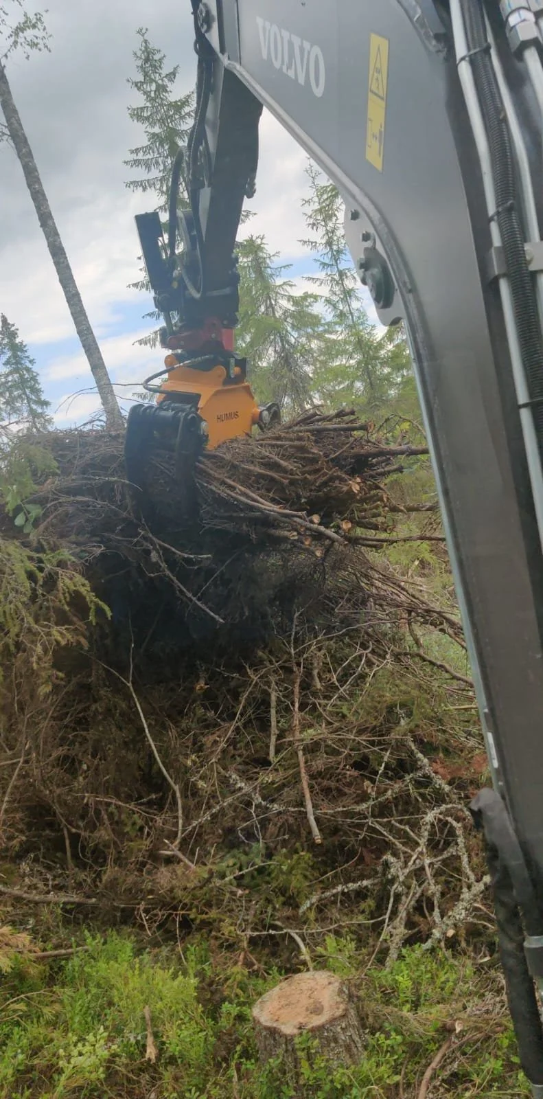 WhatsApp Image 2023-04-01 at 19.07.10.jpeg