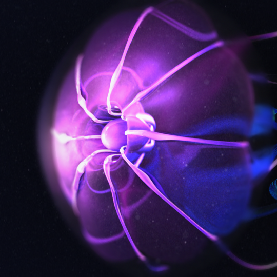 jellyfish-1.png