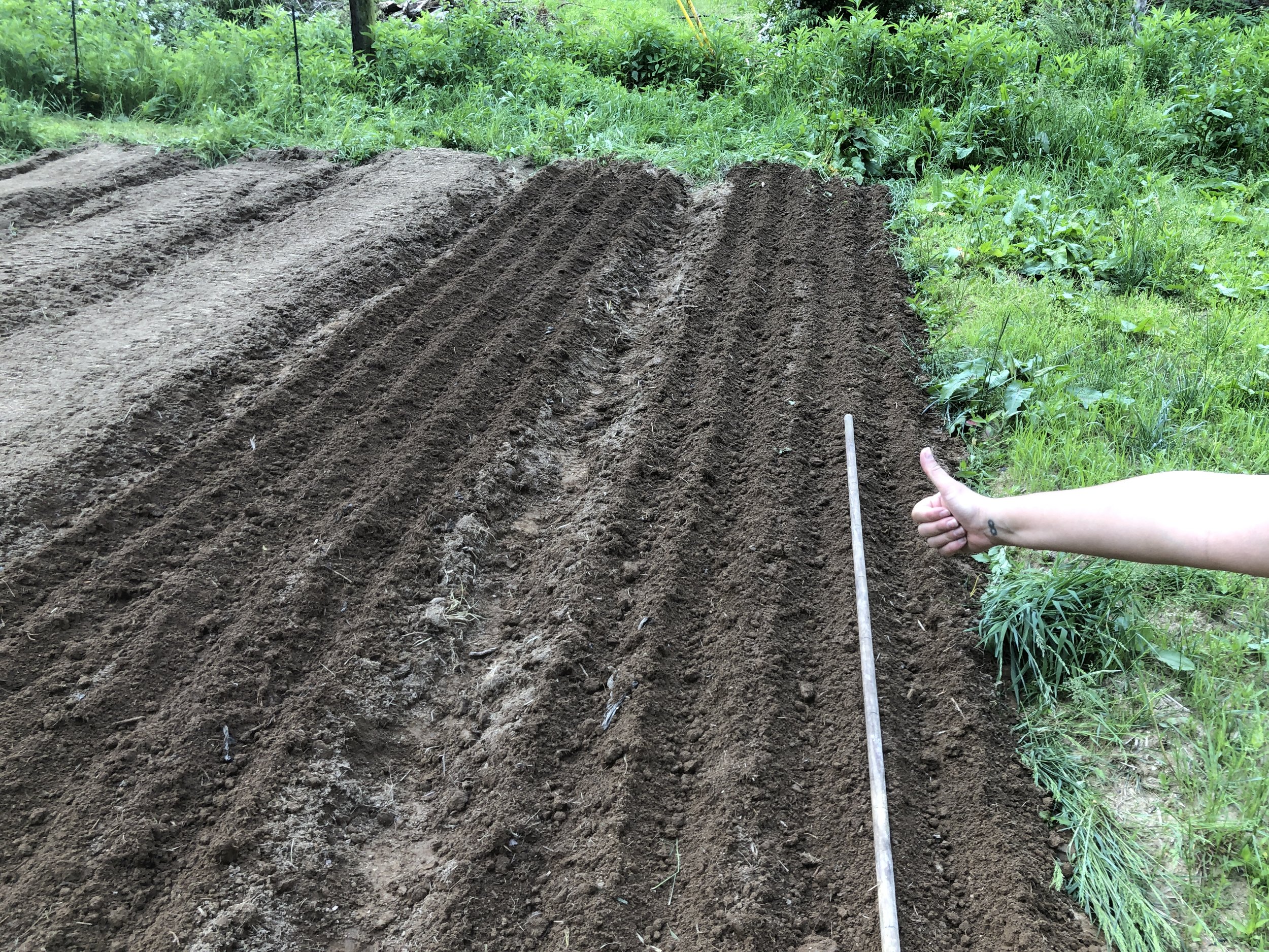 Work Day At The Farm!