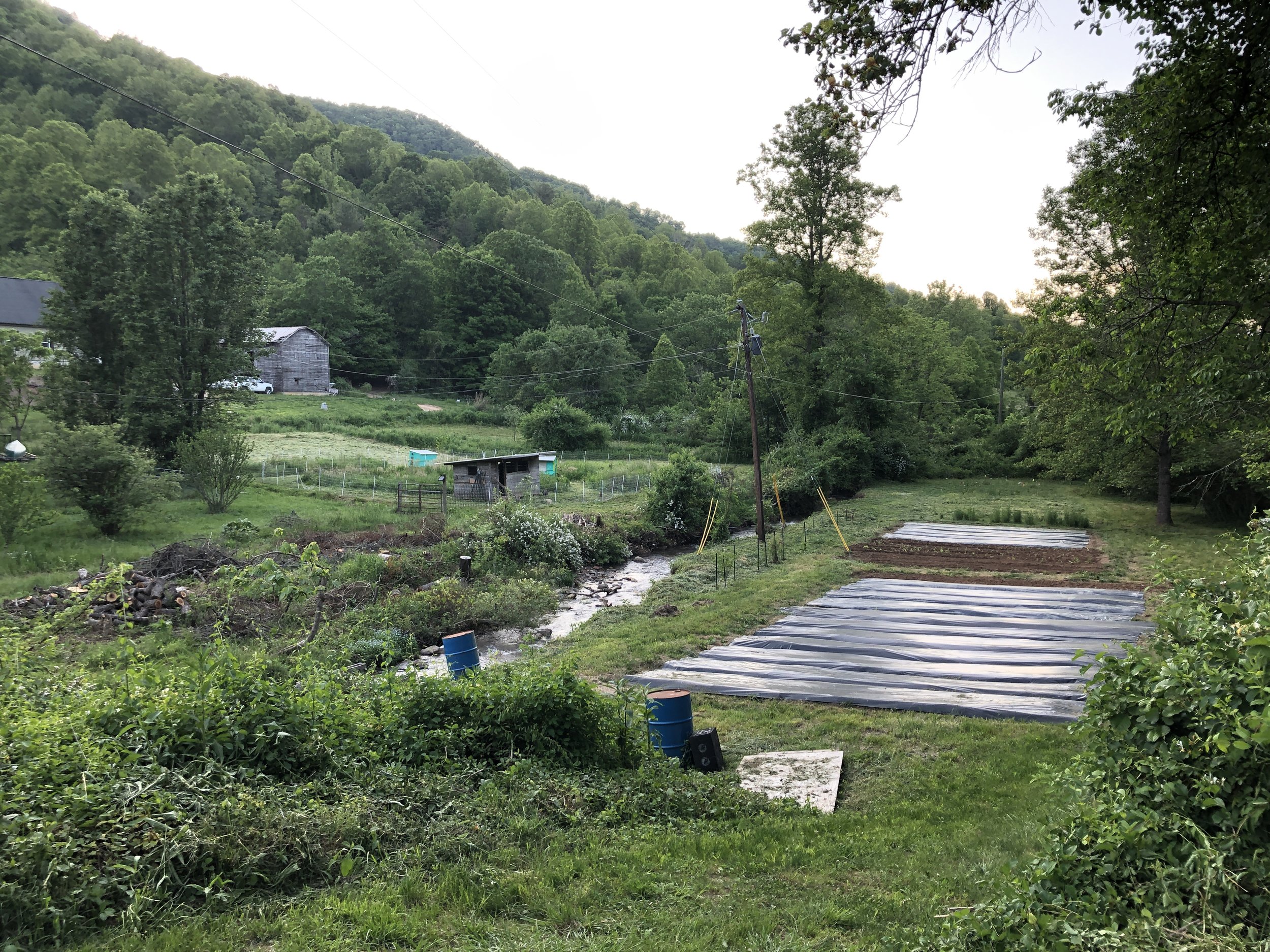 Work Day On The Farm!