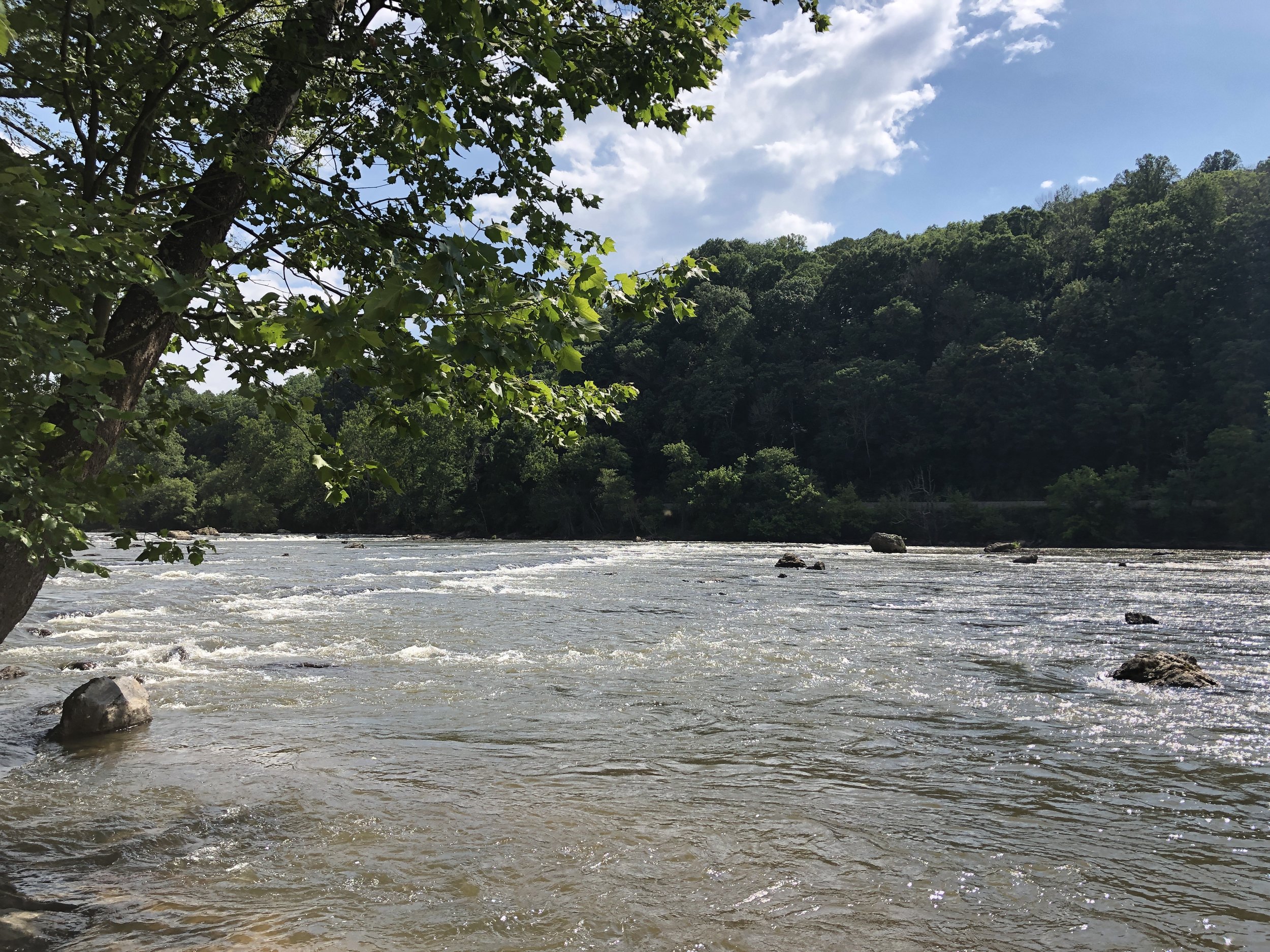 French Broad River