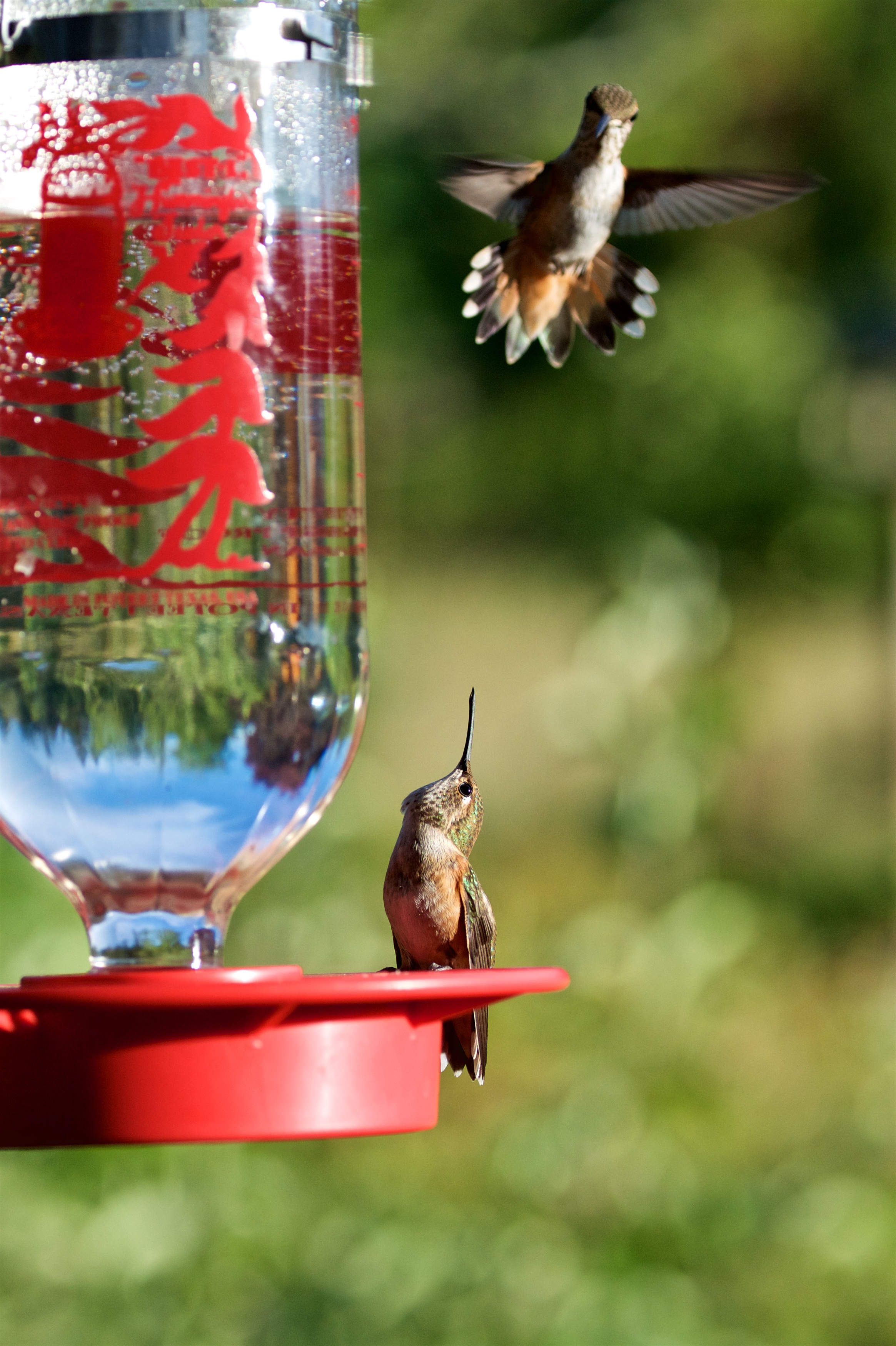 _JMM5440 - Version 2.jpg