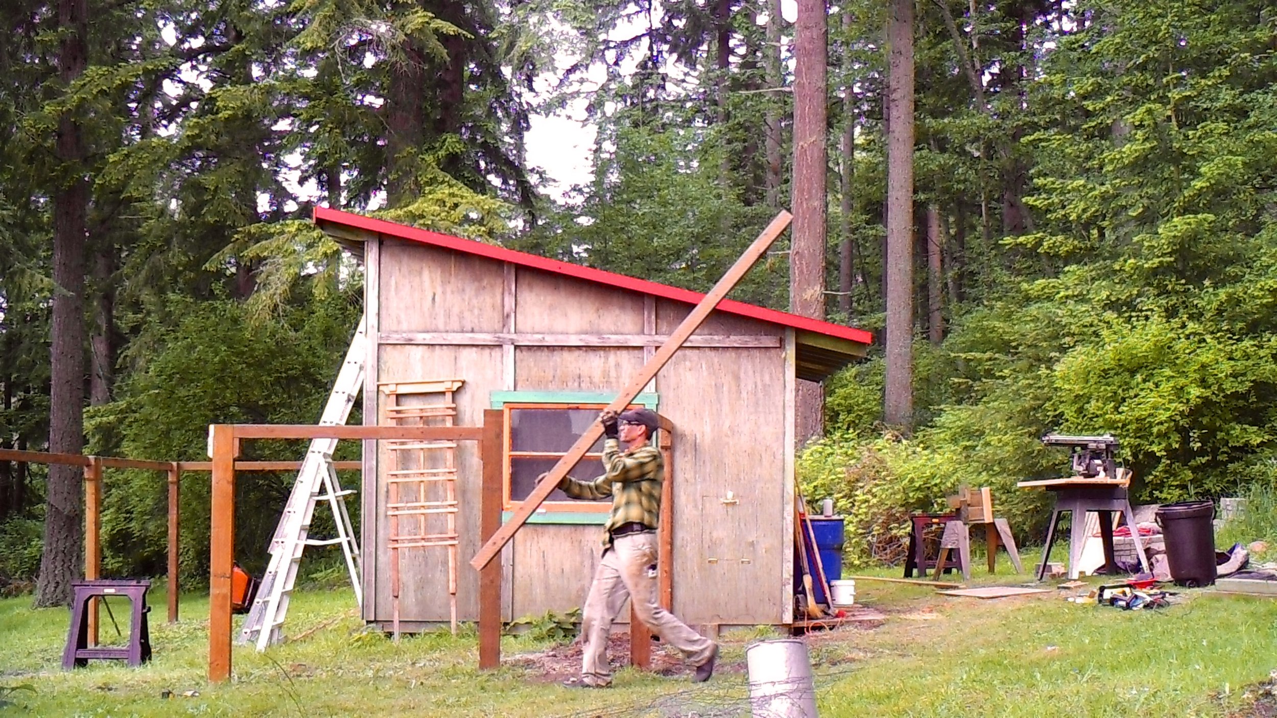MFDC0482.jpg